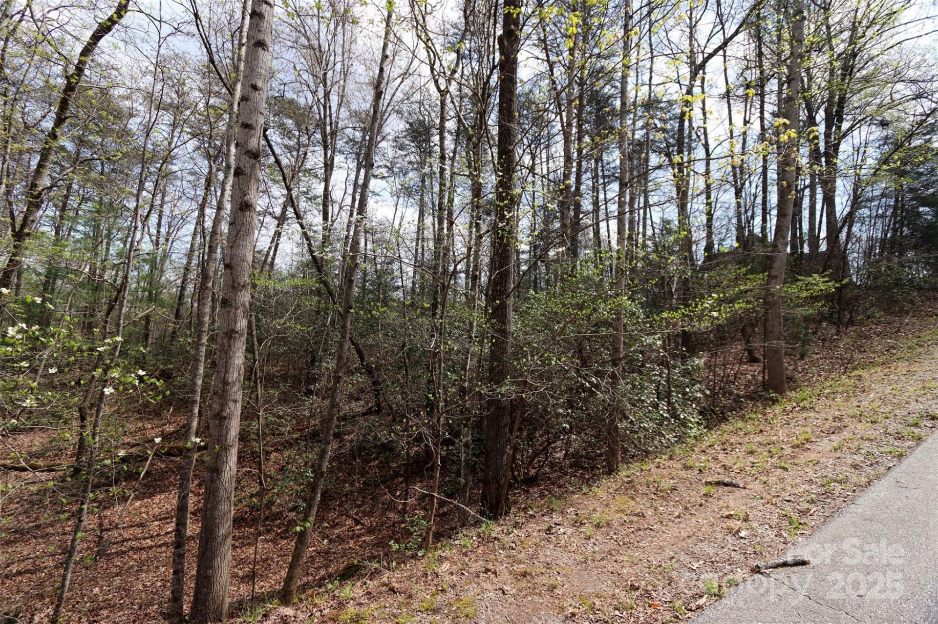 Property image 4 at 0 Mcintosh Circle, Lake Lure, NC 28746