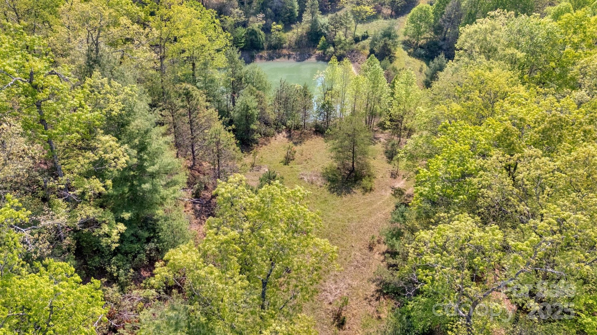 Property image 2 at 630 Stonefly Drive, Horse Shoe, NC 28742