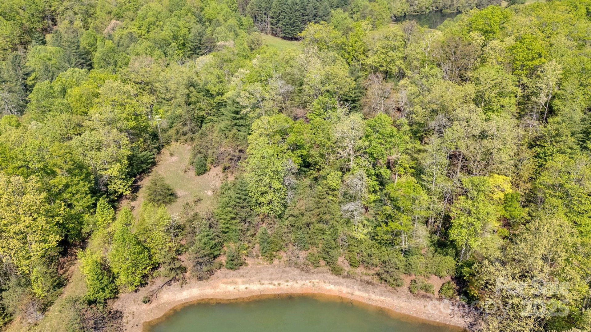 Property image 4 at 630 Stonefly Drive, Horse Shoe, NC 28742