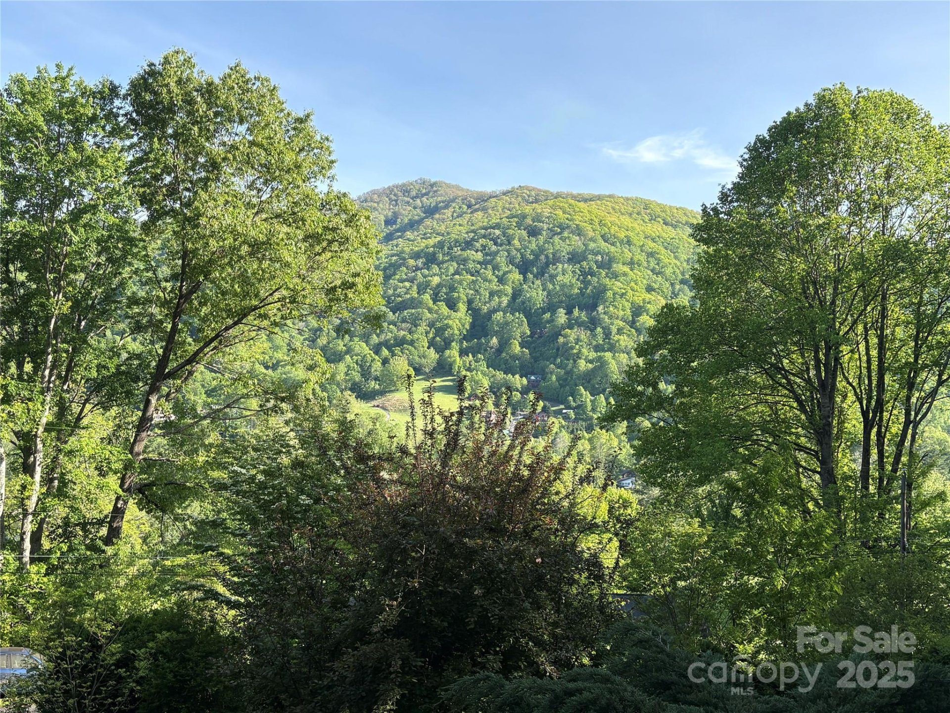 Property image 4 at 108 Golfview Drive, Maggie Valley, NC 28751