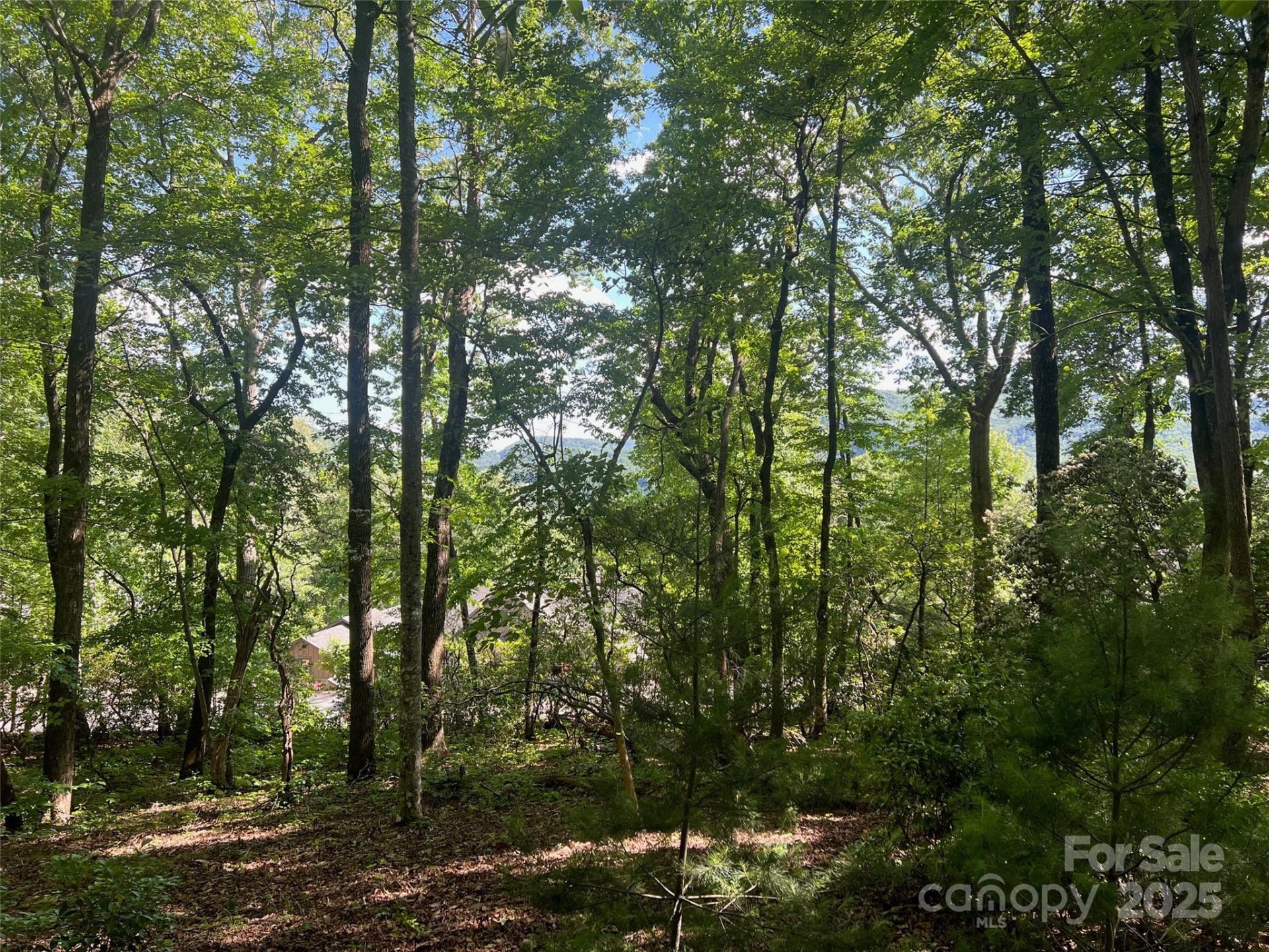 Property image 3 at 1110 Timberbluff Way, Arden, NC 28704
