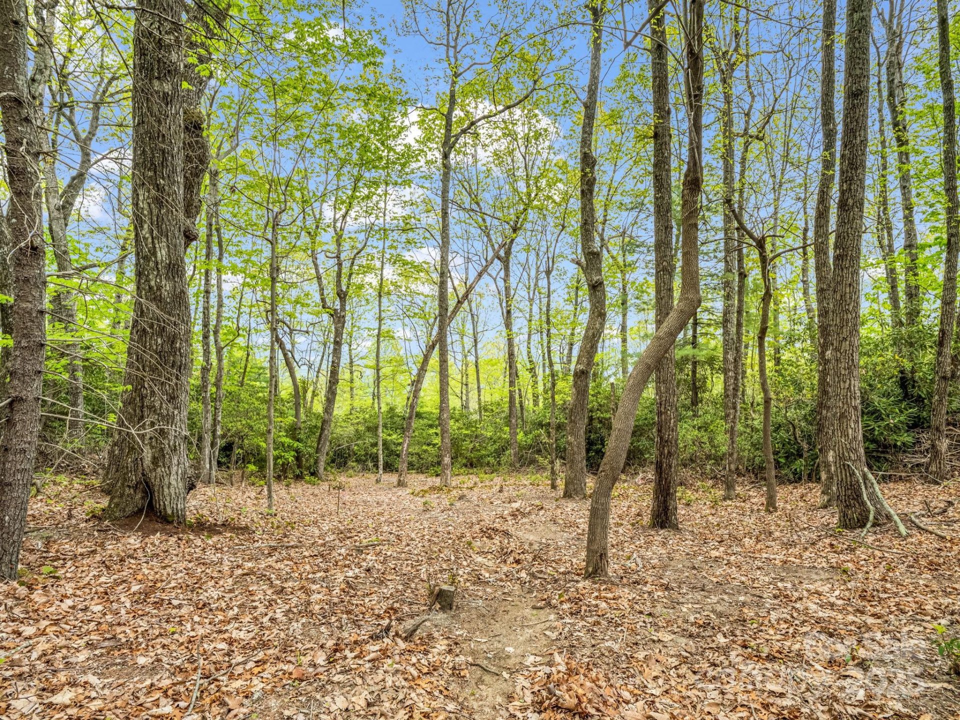 Property image 4 at 000 Pinnacle Mountain Road, Hendersonville, NC 28790
