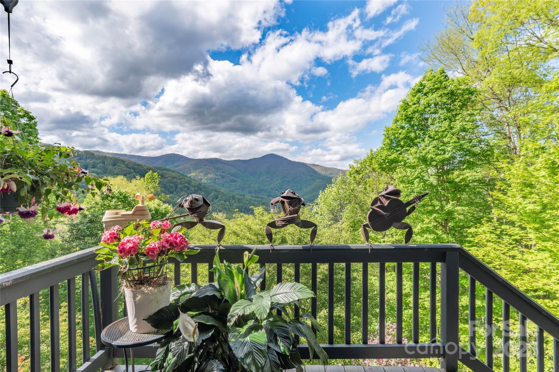 Property image 3 at 806 Twin Brook Drive, Waynesville, NC 28785