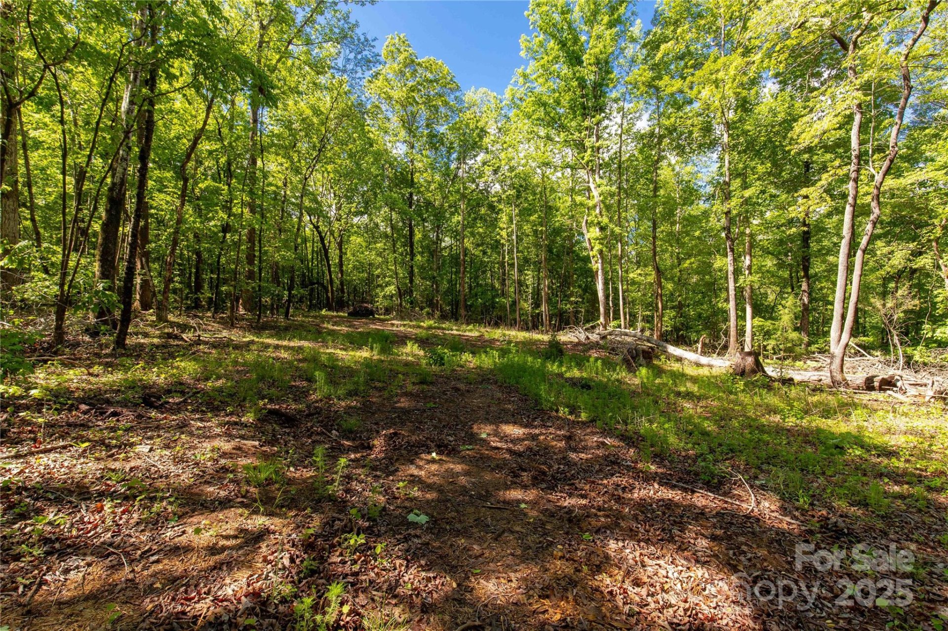 Property image 2 at 5212 Star Magnolia Court, Clover, SC 29710