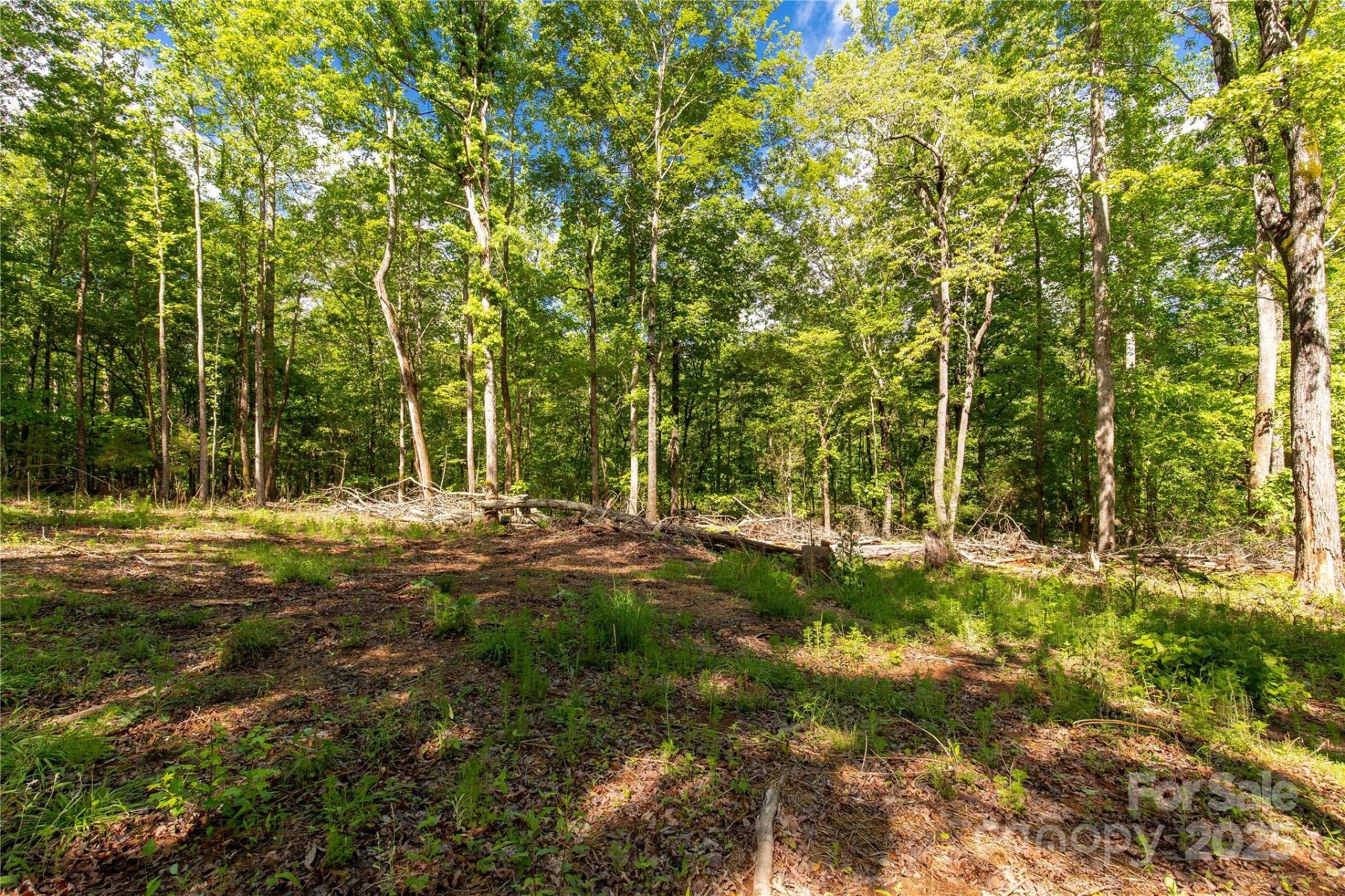 Property image 3 at 5212 Star Magnolia Court, Clover, SC 29710