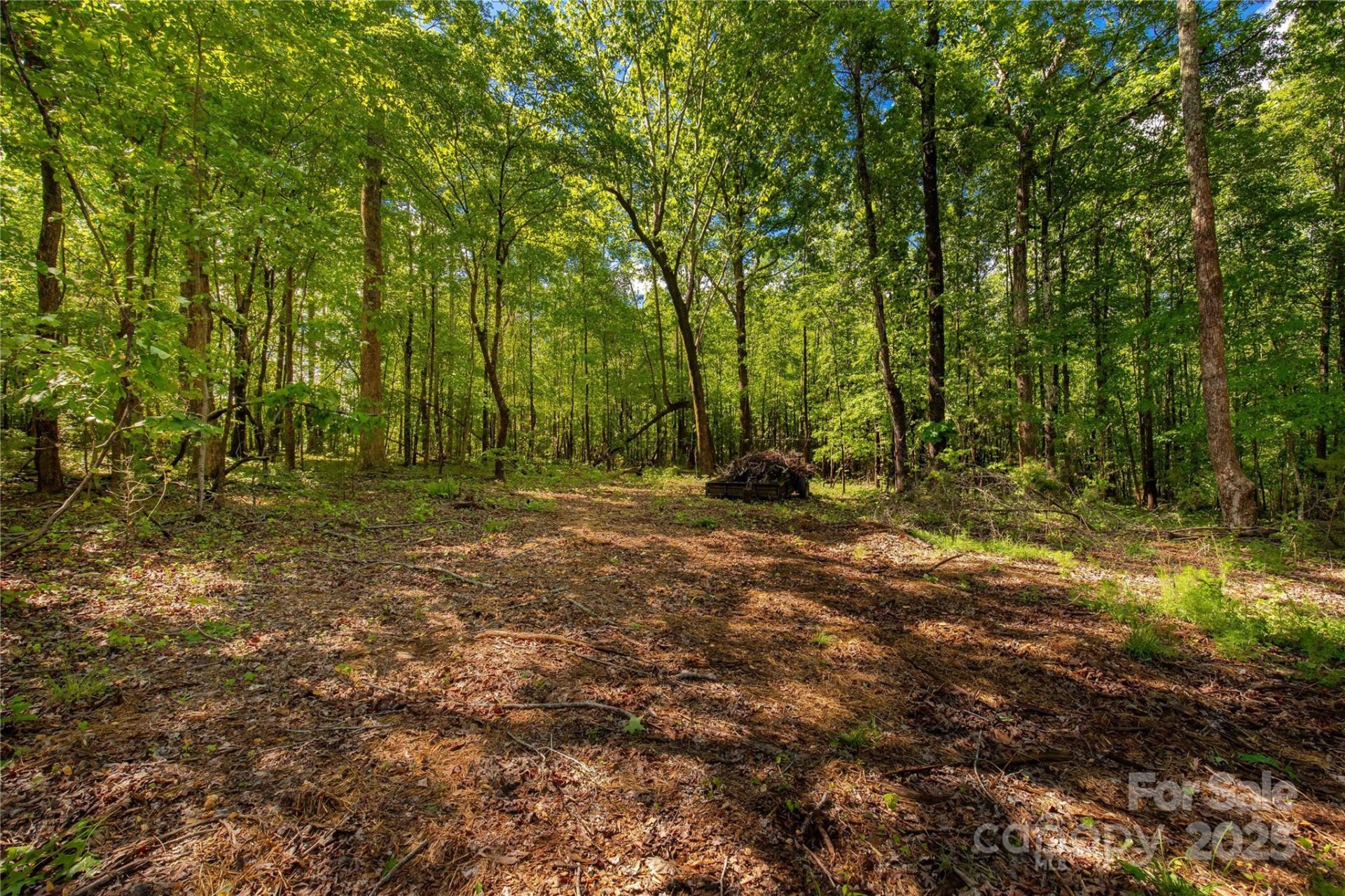Property image 4 at 5212 Star Magnolia Court, Clover, SC 29710