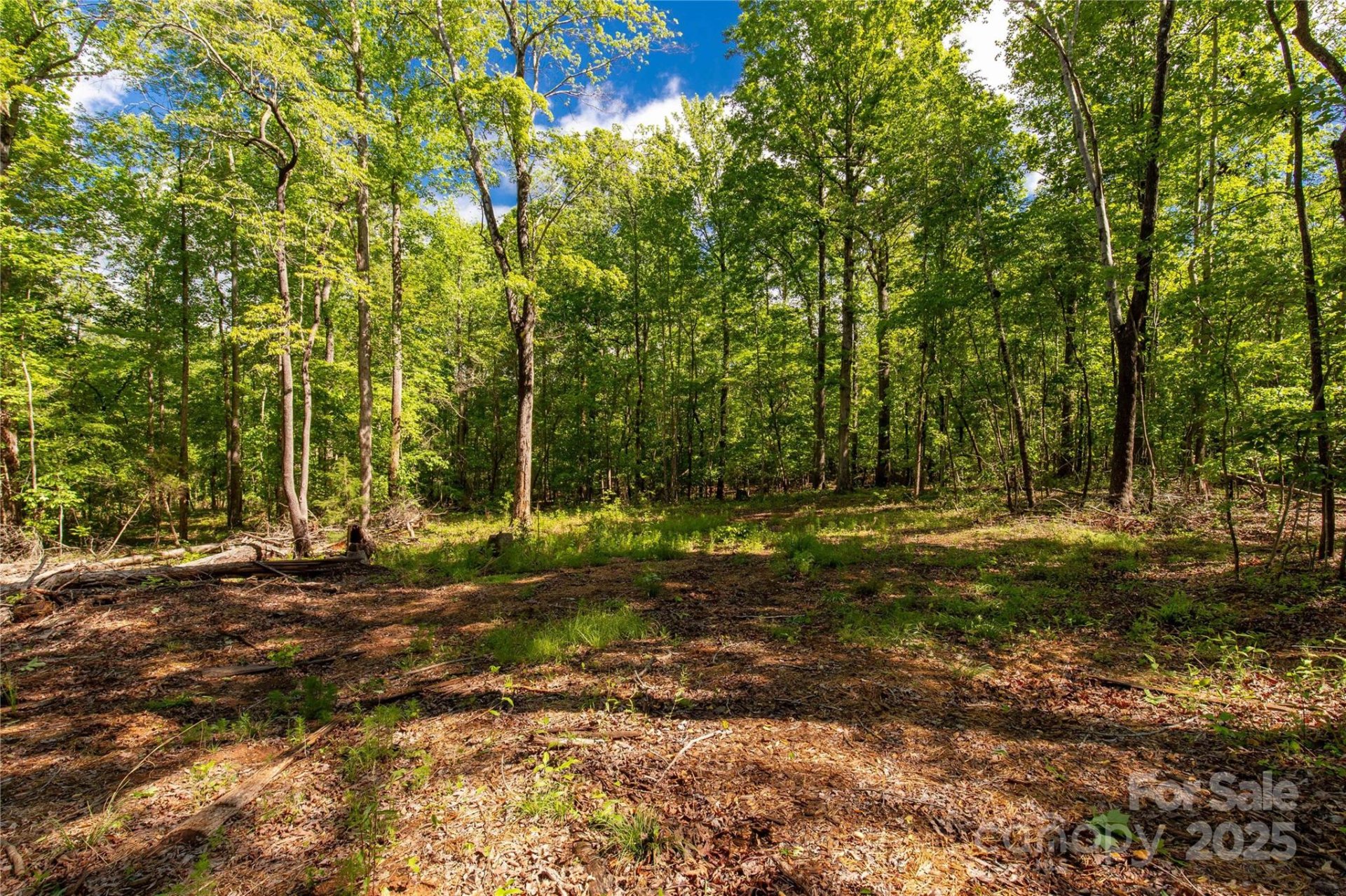 Property image 5 at 5212 Star Magnolia Court, Clover, SC 29710