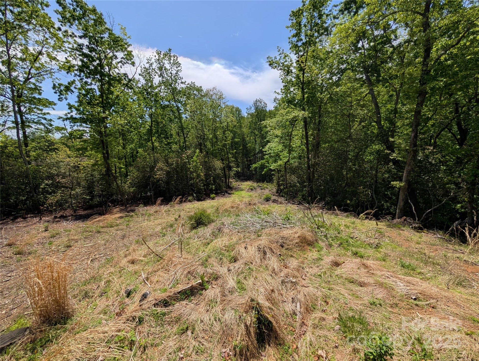 Property image 4 at 00 Winterberry Drive, Hendersonville, NC 28739