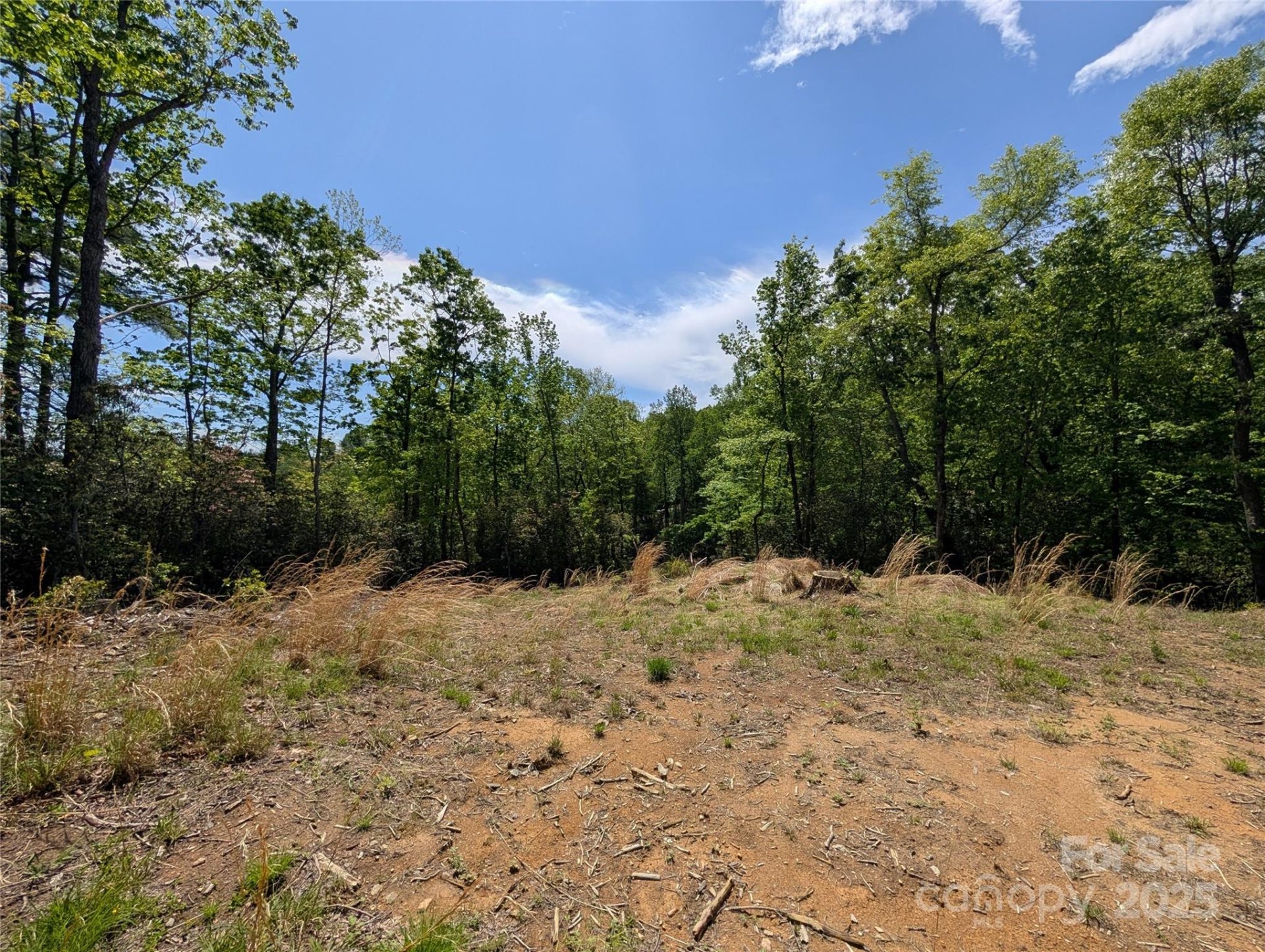 Property image 5 at 00 Winterberry Drive, Hendersonville, NC 28739