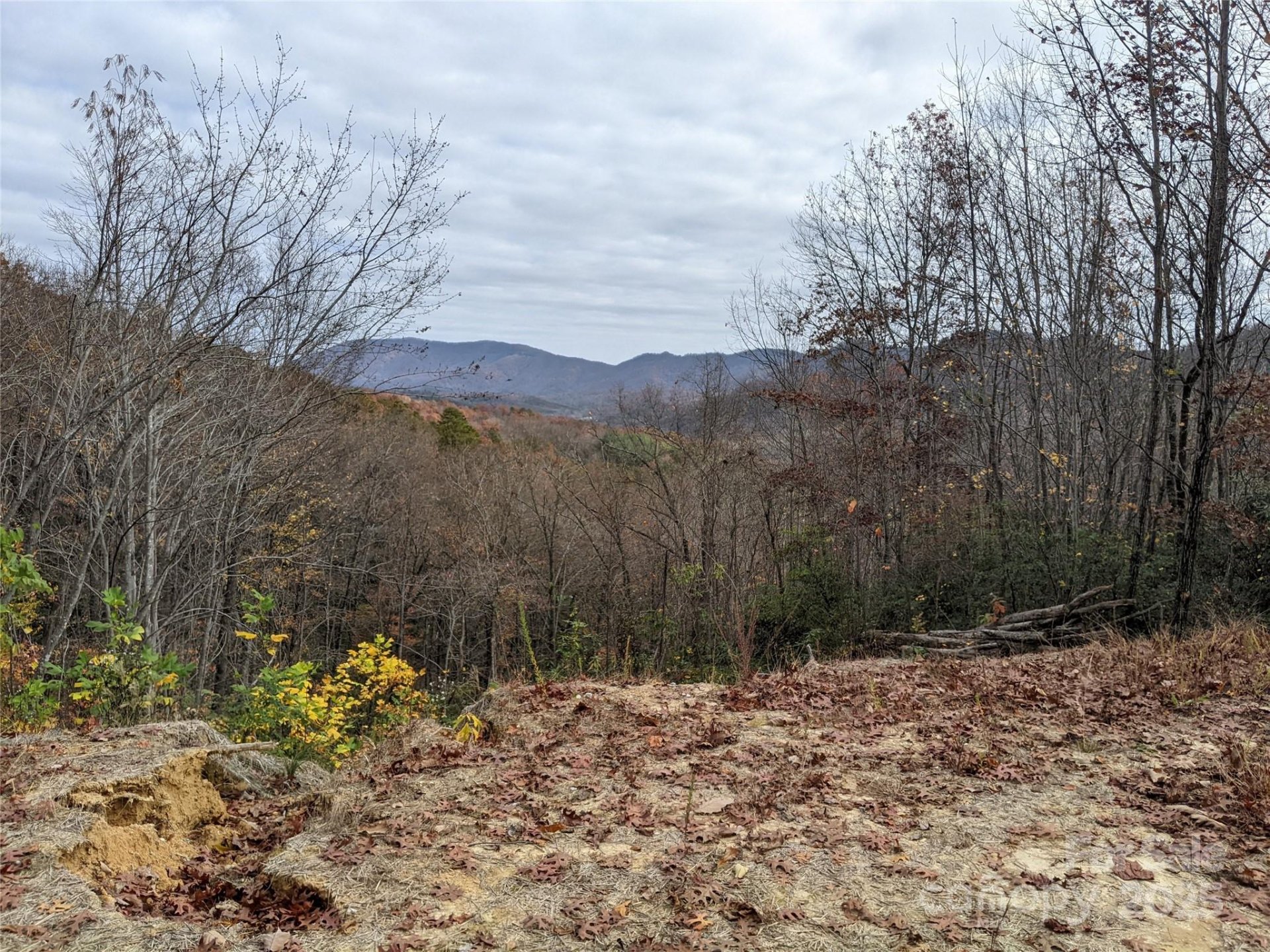 Property at 171 Nuthatch Lane, Black Mountain, NC 28711