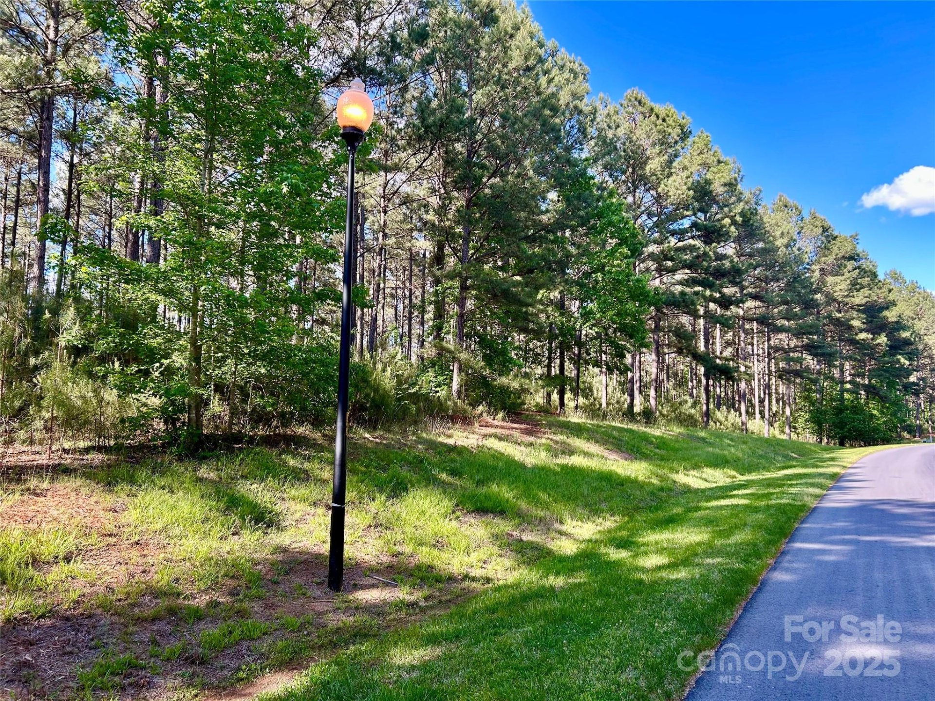 Property image 1 at 200 Plantation Way, Mount Gilead, NC 27306
