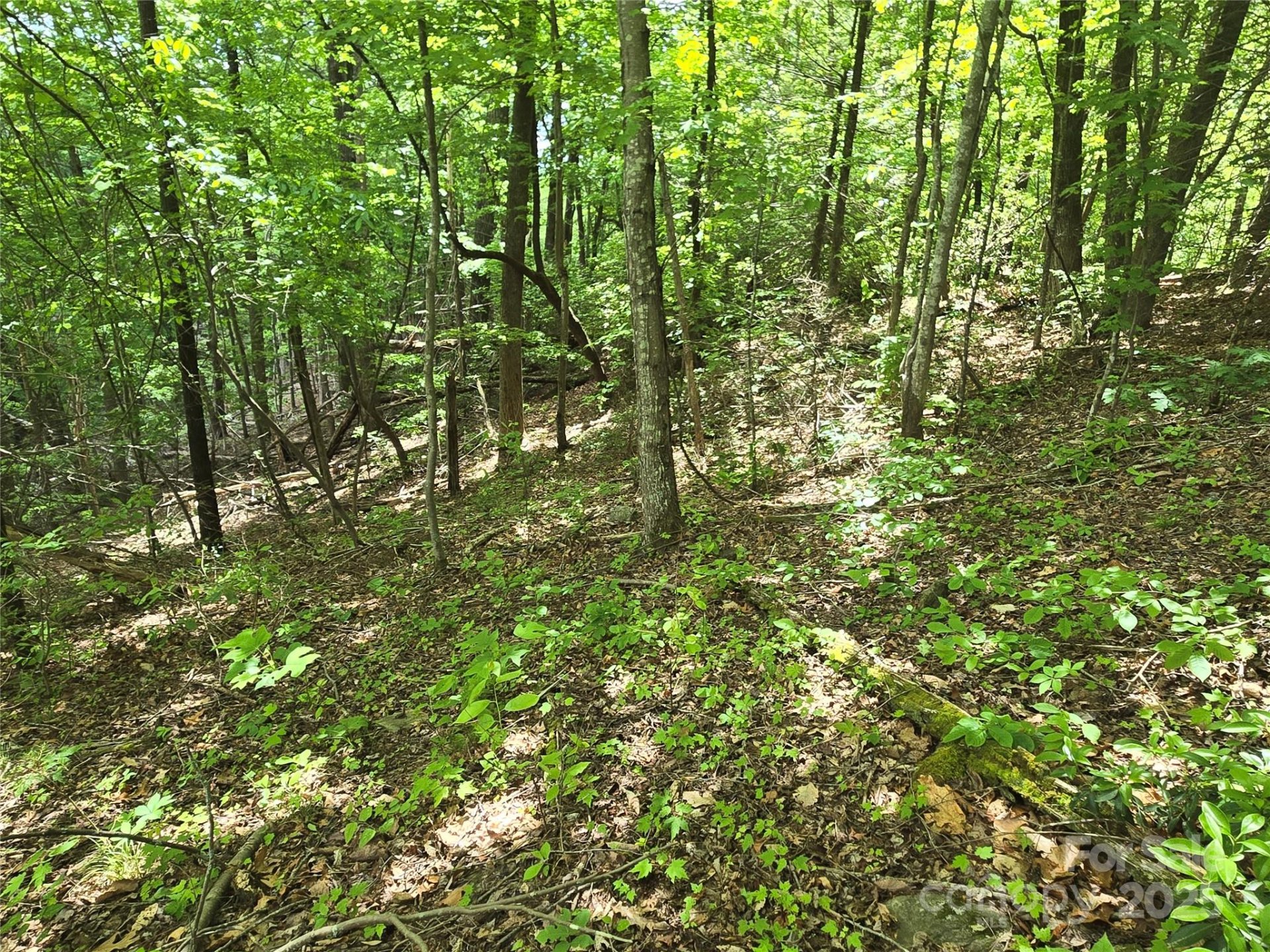 Property image 3 at Lot 230 Swallow Lane, Lake Lure, NC 28746