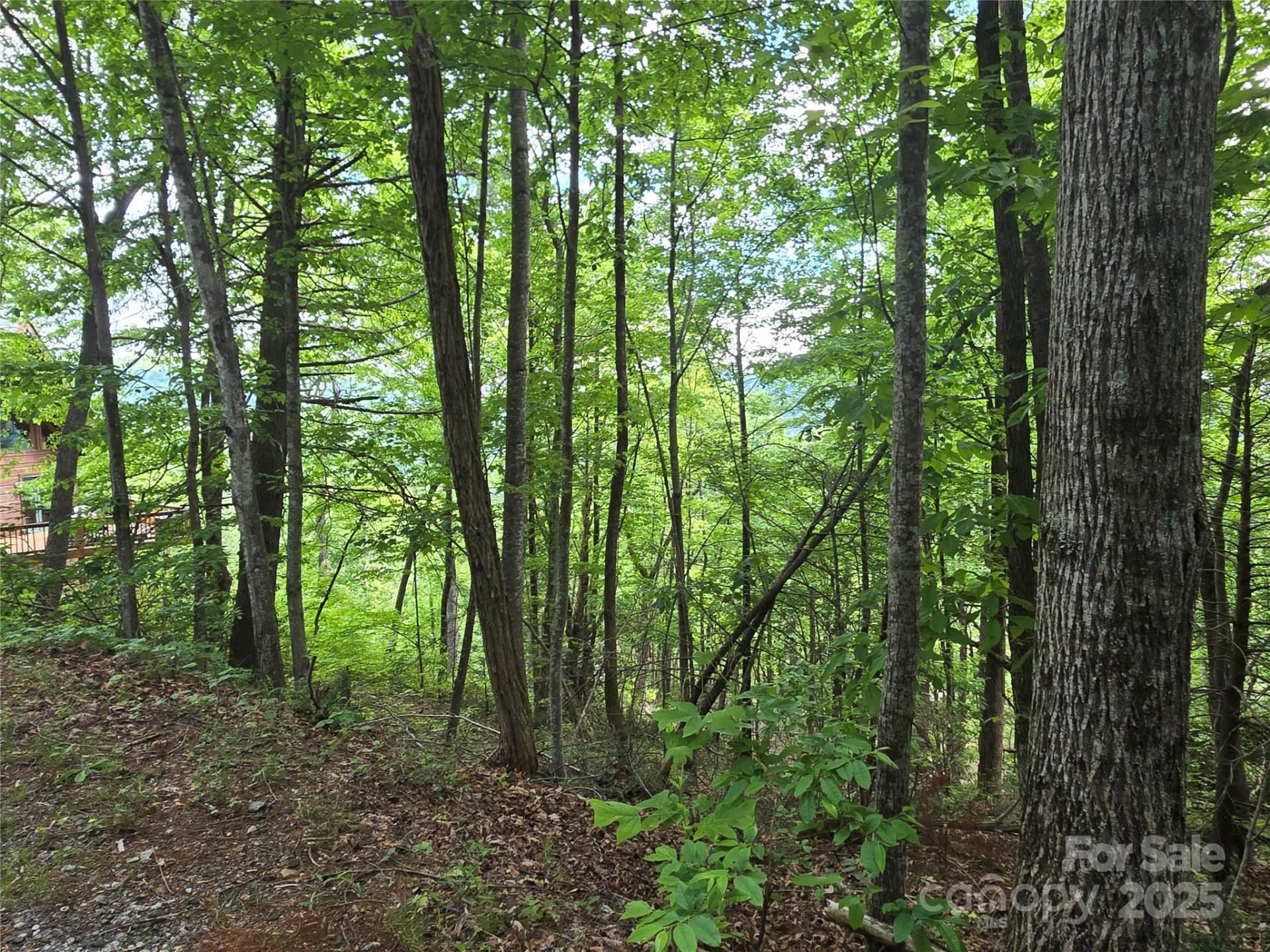Property image 4 at Lot 230 Swallow Lane, Lake Lure, NC 28746