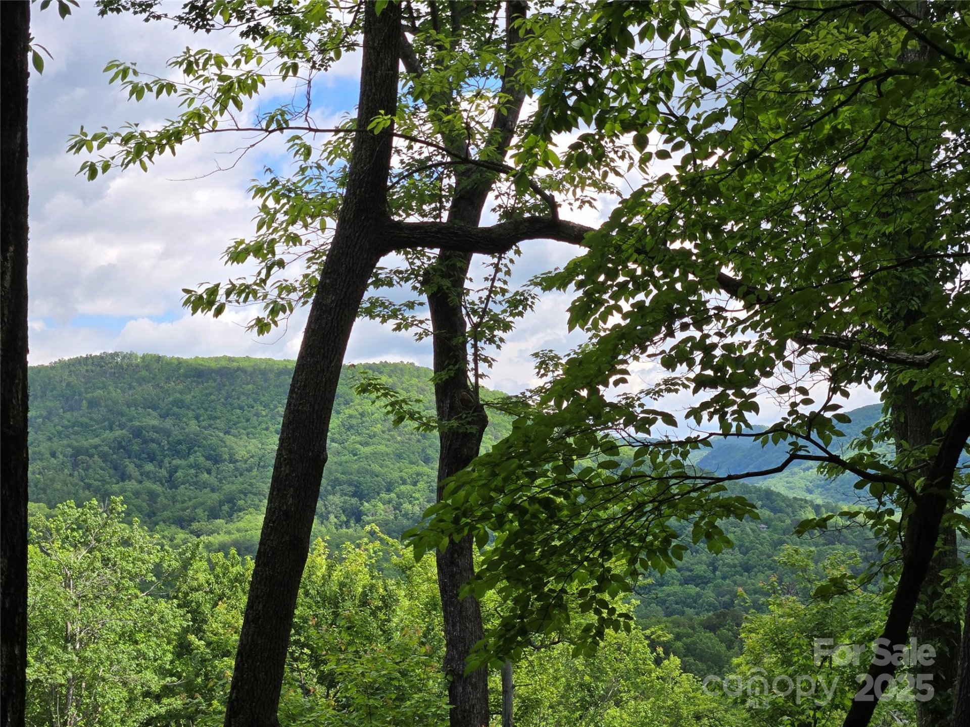 Property image 5 at Lot 230 Swallow Lane, Lake Lure, NC 28746