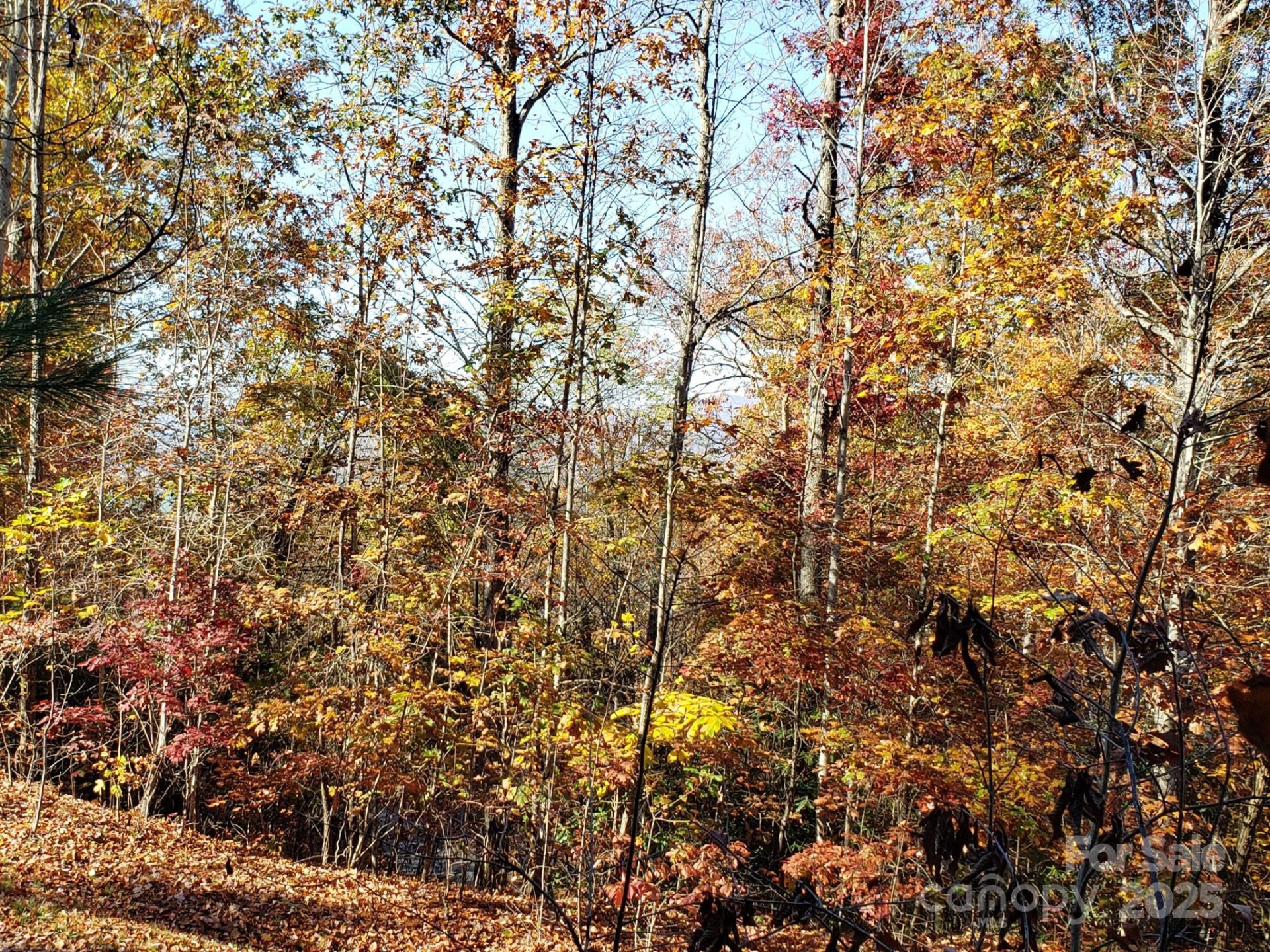 Tbd Top Oaks Lane