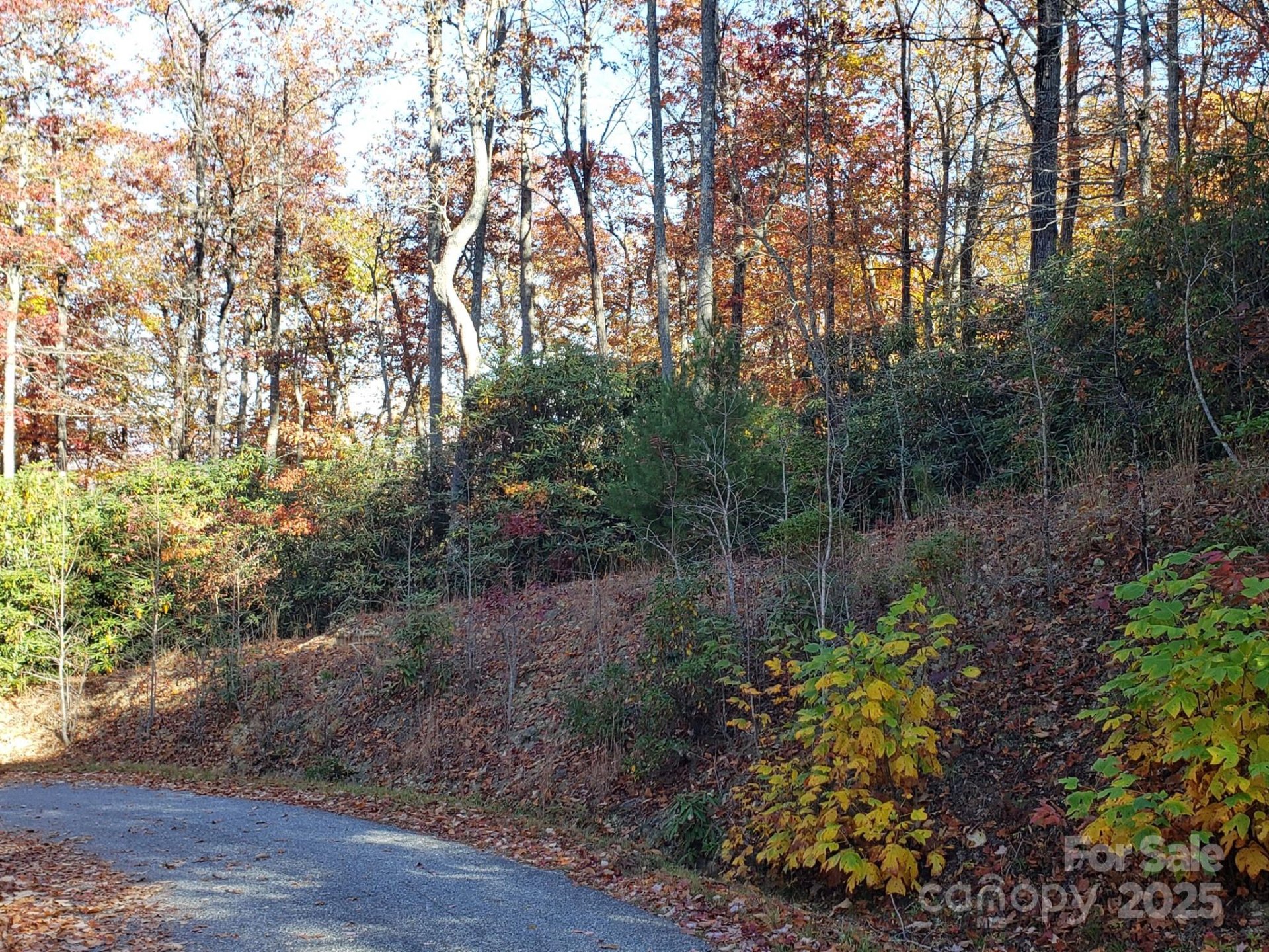 Property image 4 at Tbd Top Oaks Lane, Pisgah Forest, NC 28768