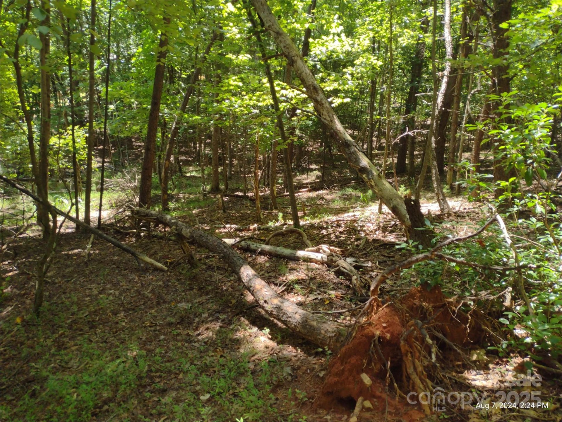 Property image 2 at 00 Wilkerson Court, Lake Lure, NC 28746