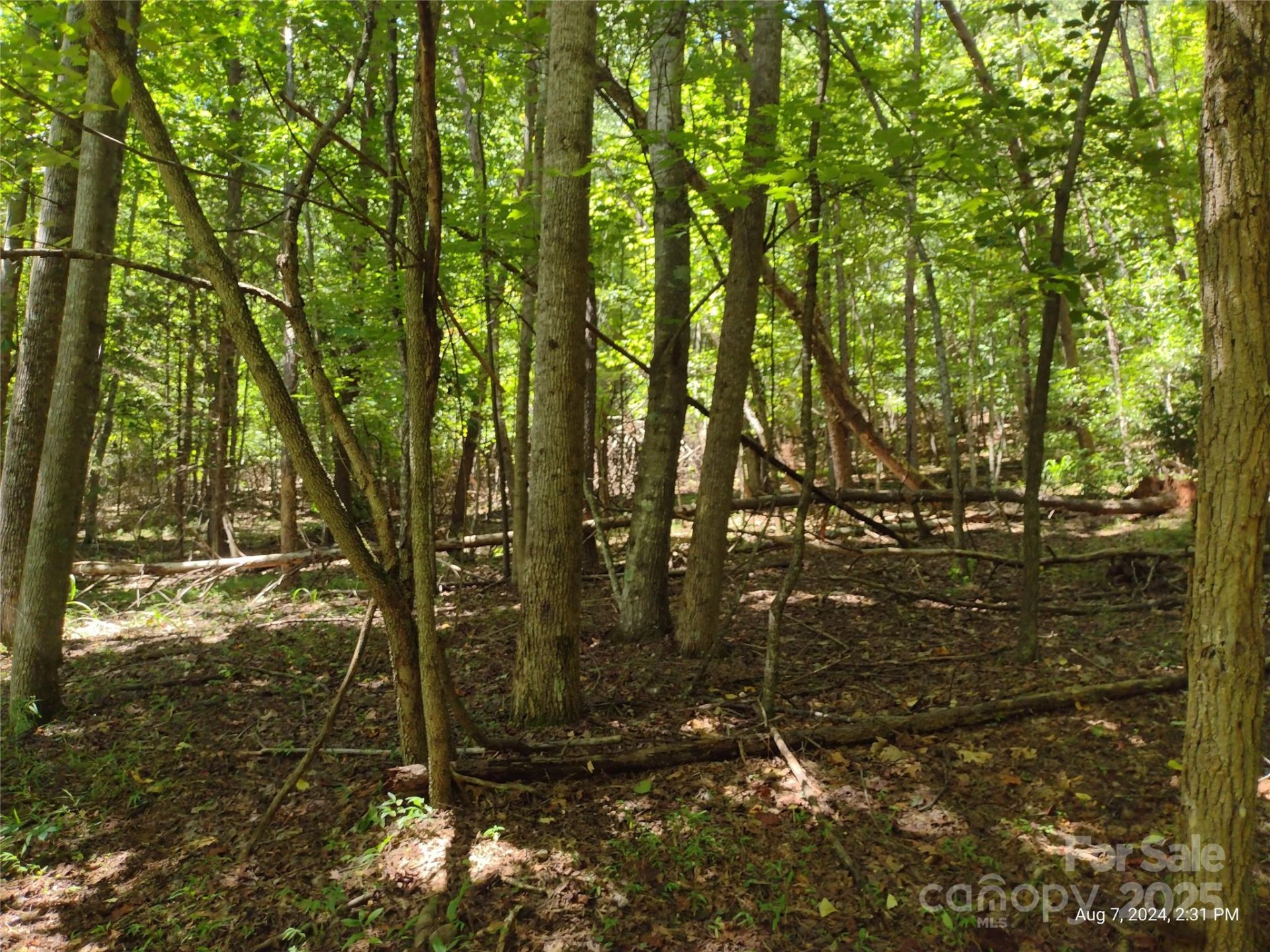Property image 3 at 00 Wilkerson Court, Lake Lure, NC 28746