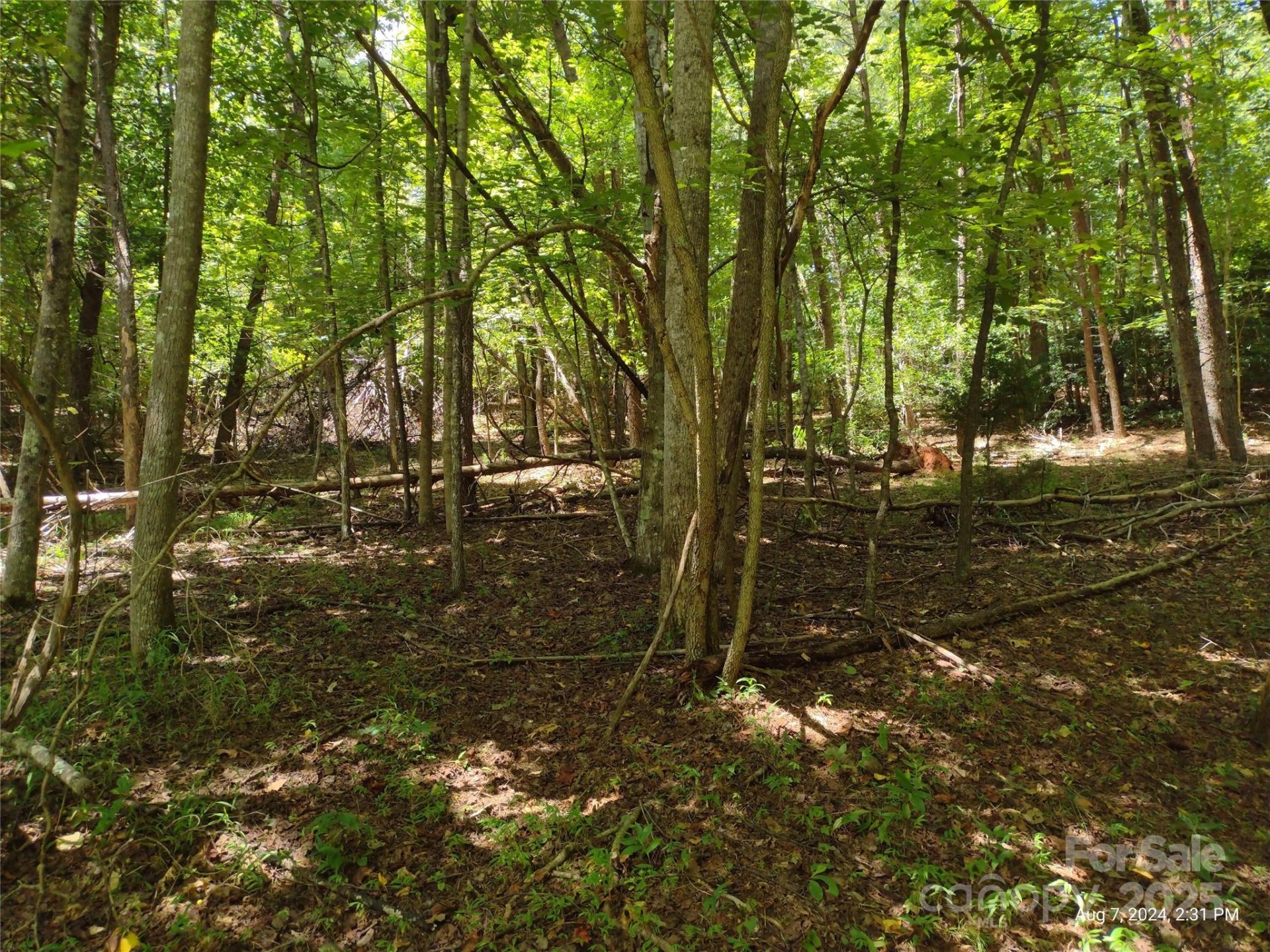 Property image 4 at 00 Wilkerson Court, Lake Lure, NC 28746