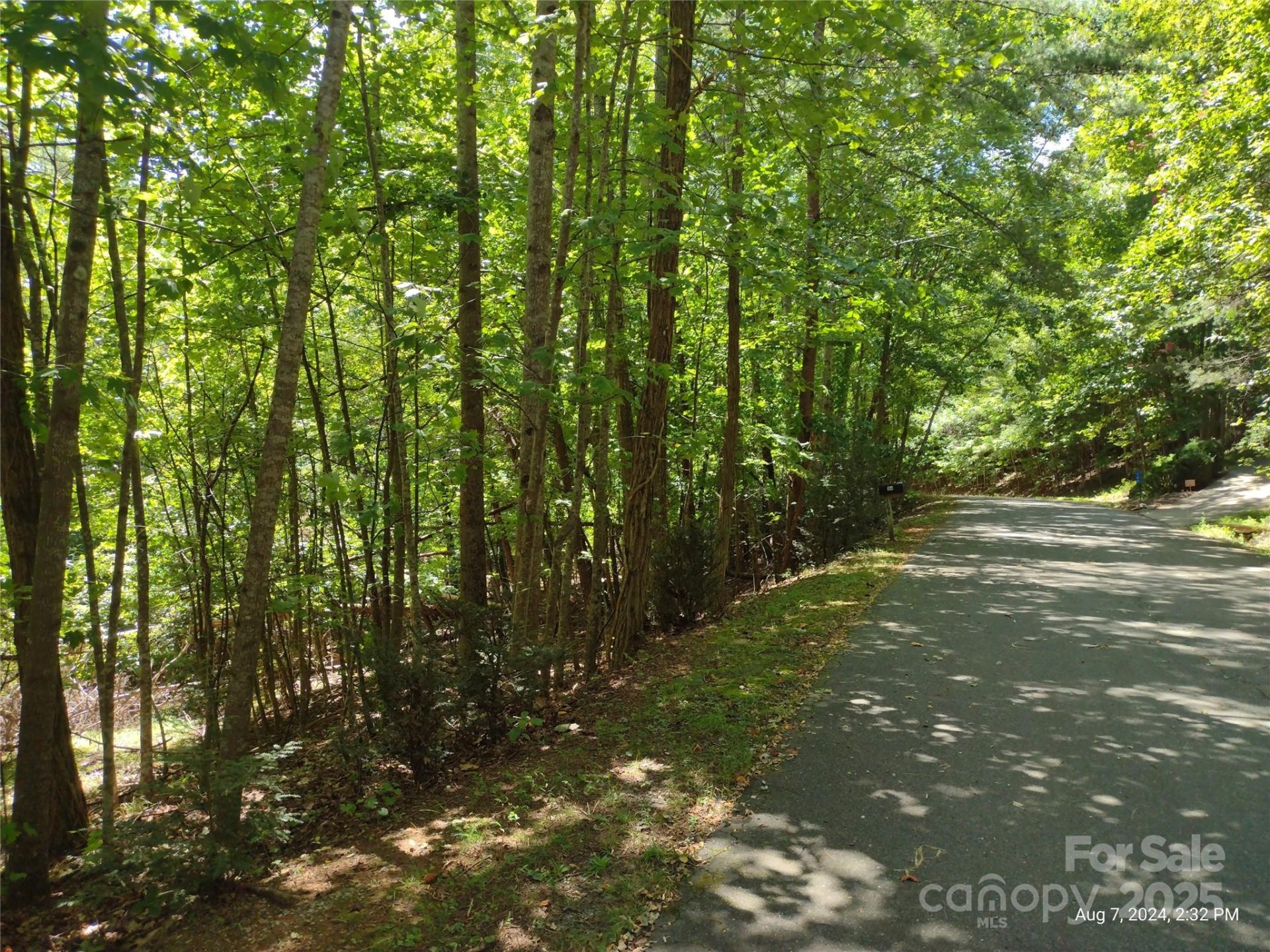 Property image 5 at 00 Wilkerson Court, Lake Lure, NC 28746