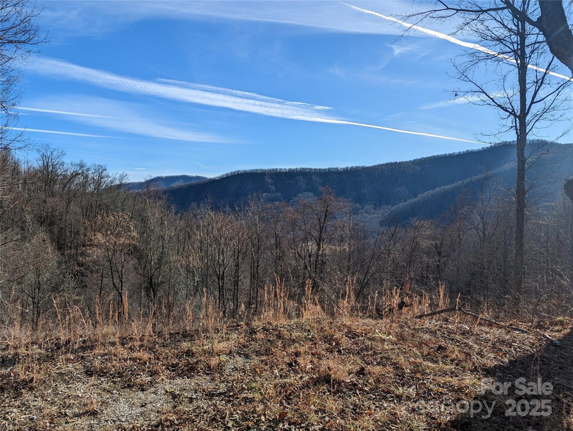 Property at 351 Kestrel Lane, Black Mountain, NC 28711