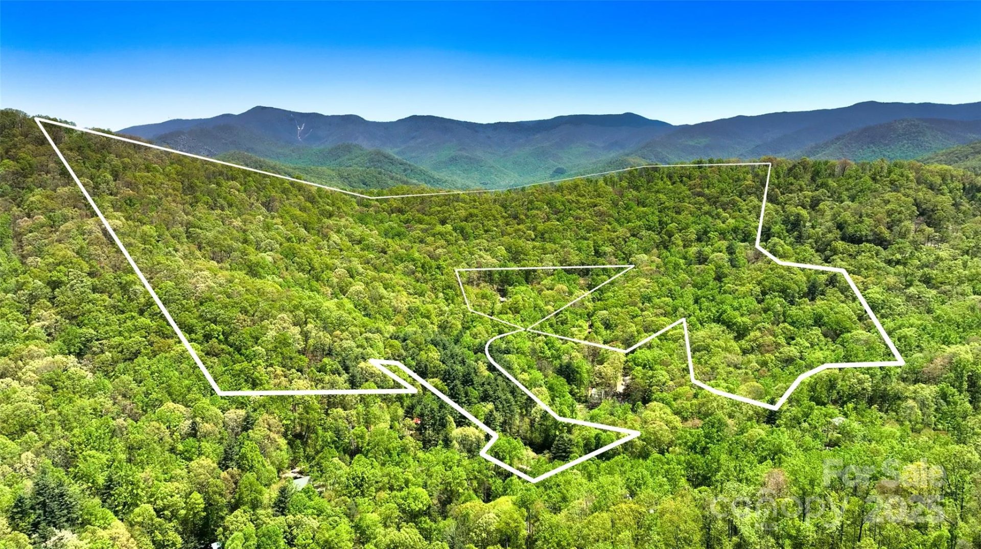 Wildcat Knob, Barnardsville Community