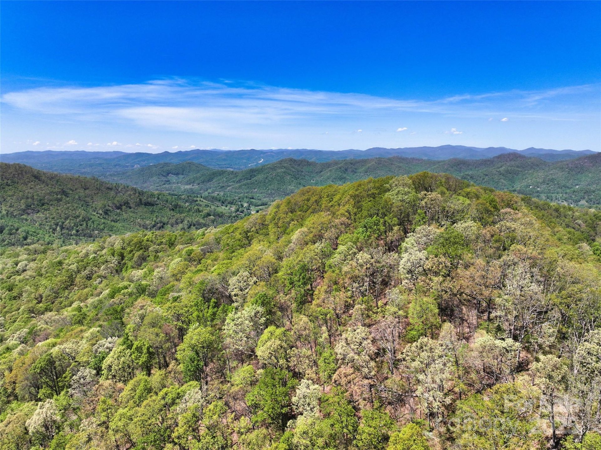 Property image 3 at 99999 Anderson Cove Road, Barnardsville, NC 28709