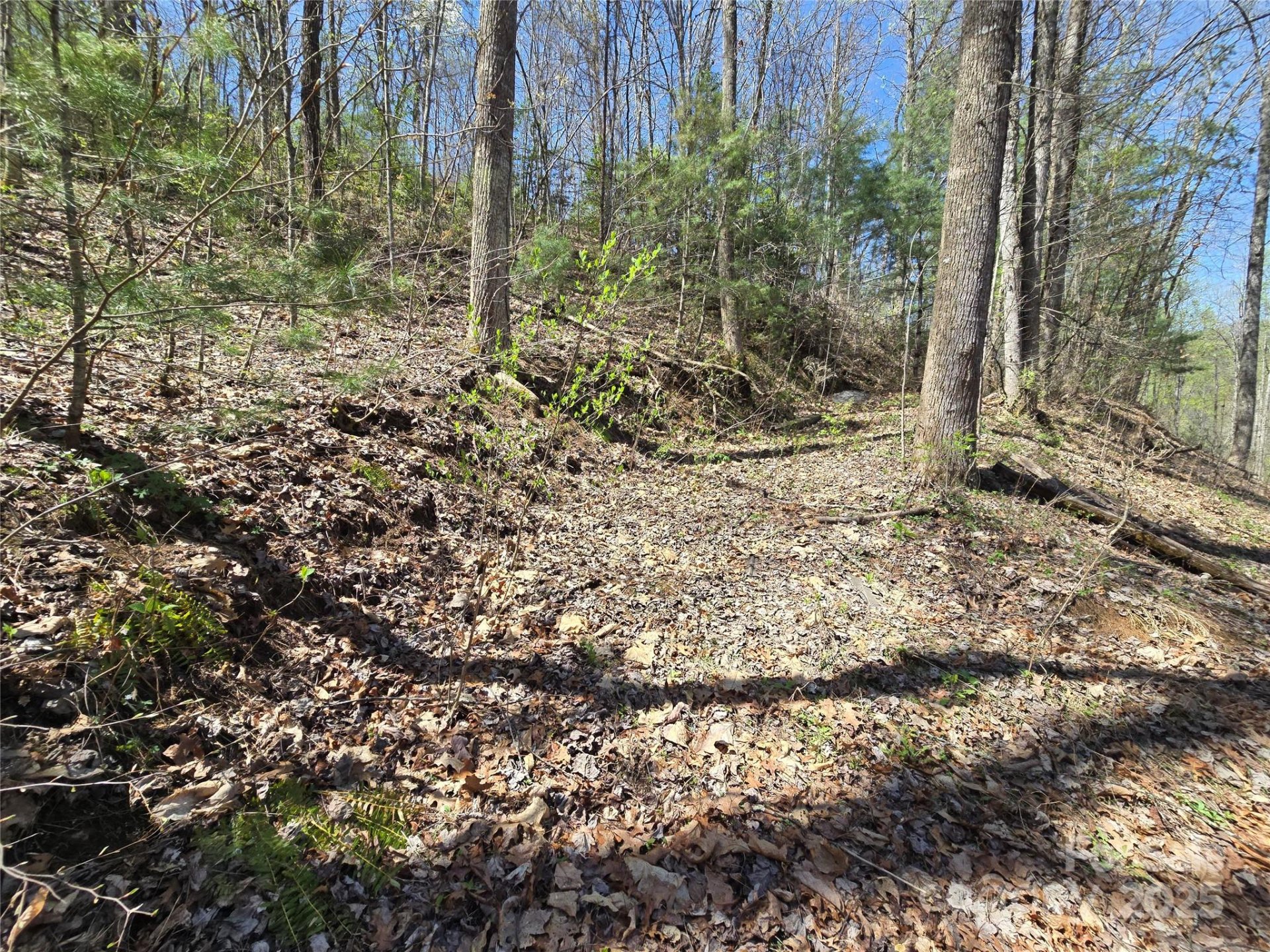 Property at 00 Riverside Drive, Whittier, NC 28789