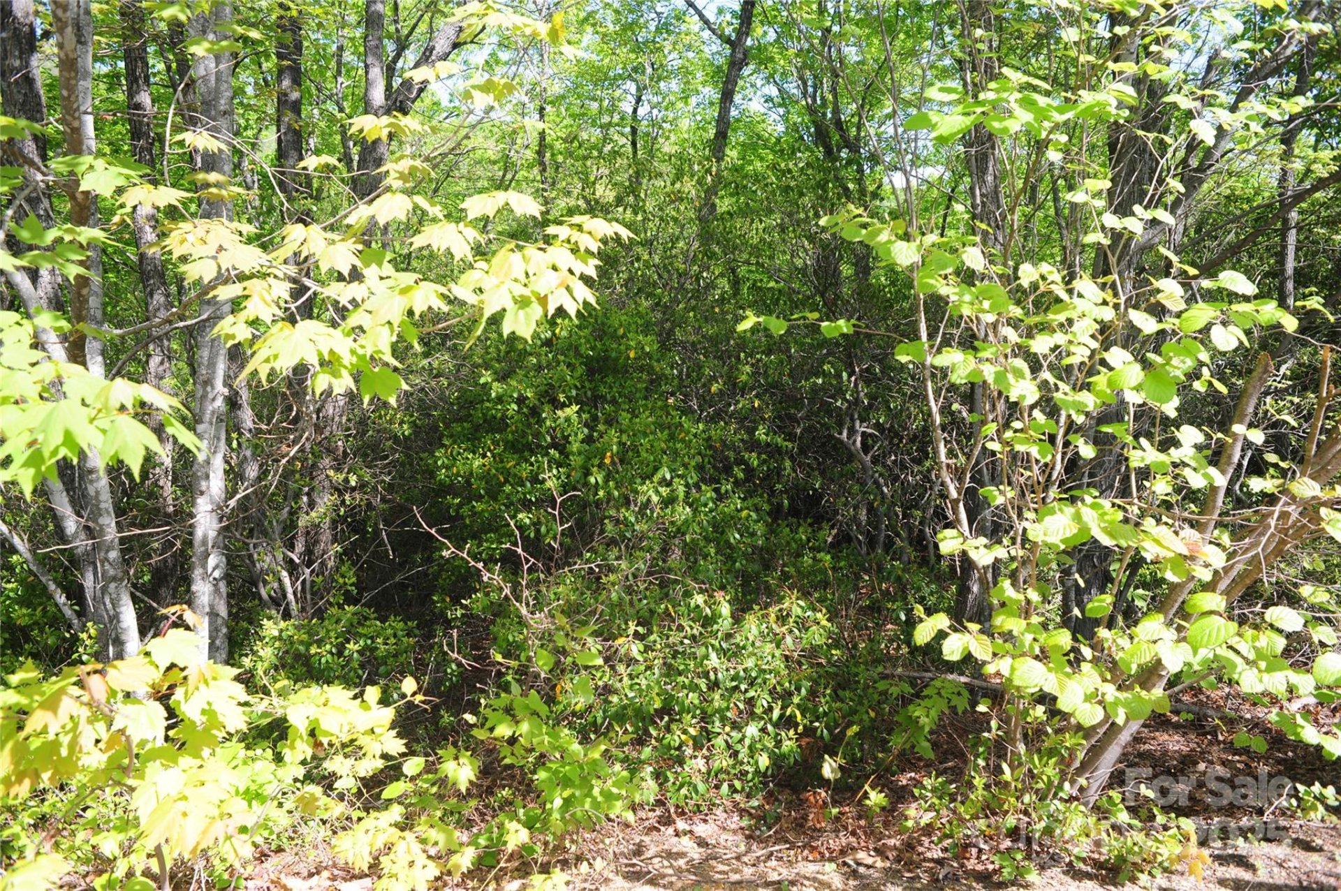 Property image 5 at 99999 Mountain Falls Trail, Black Mountain, NC 28711