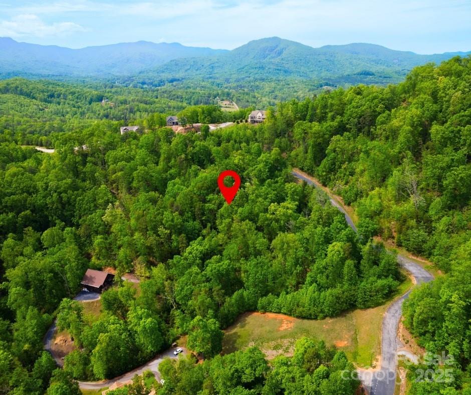 Property image 4 at 0 Bills Mountain Trail, Lake Lure, NC 28746