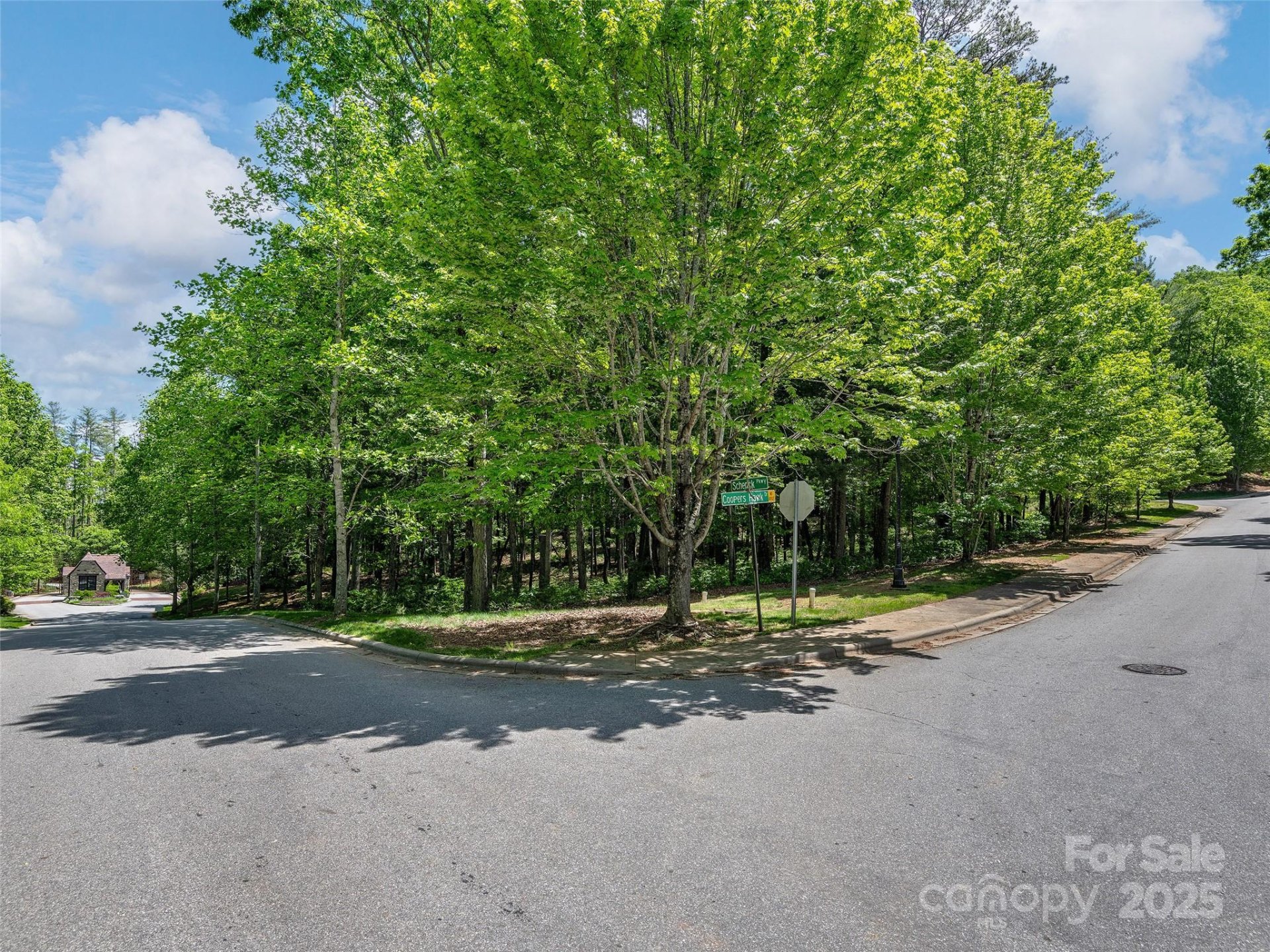Property image 3 at 404 Coopers Hawk Drive, Asheville, NC 28803