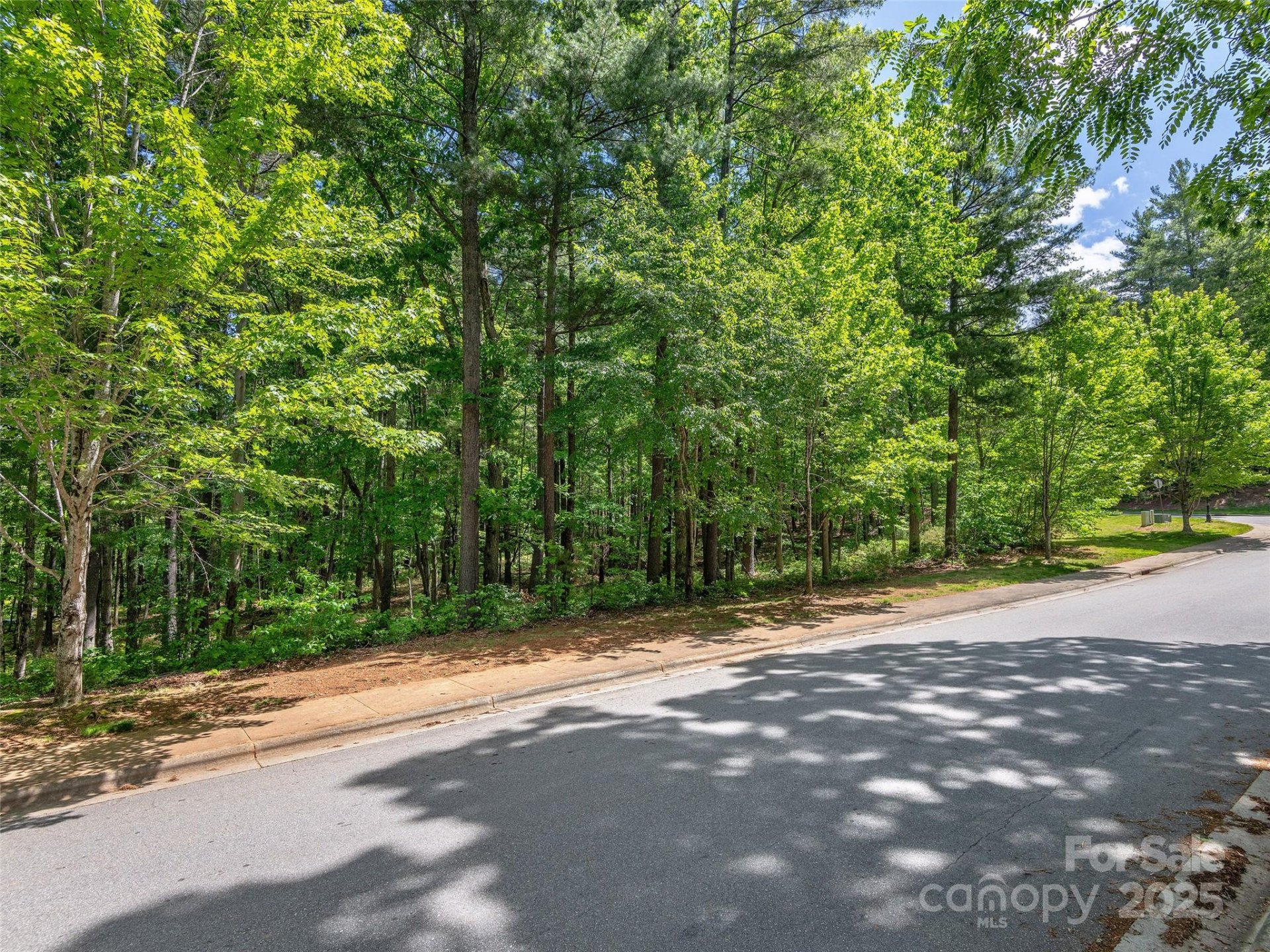 Property image 4 at 404 Coopers Hawk Drive, Asheville, NC 28803