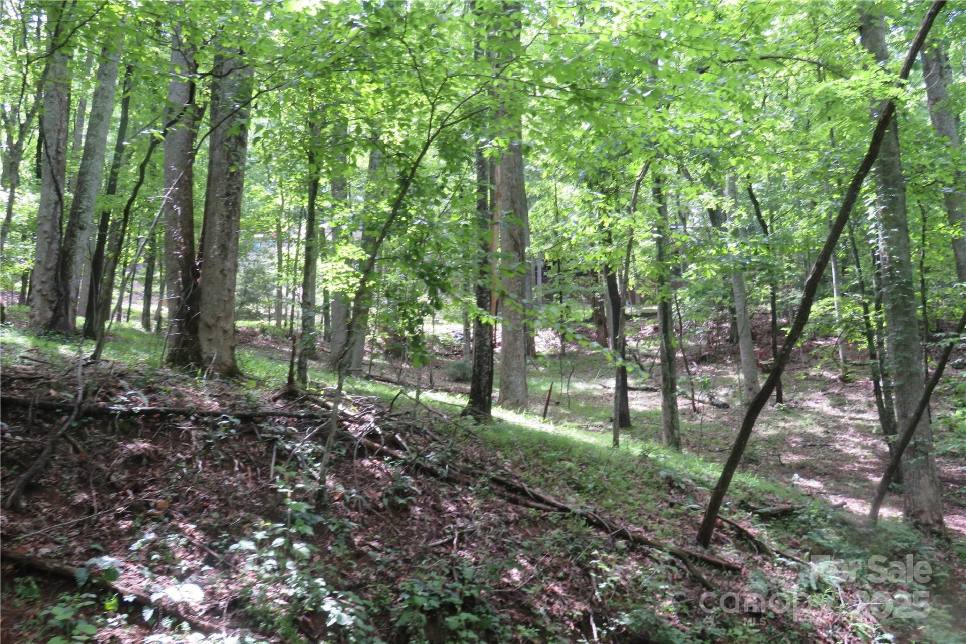 Tbd Poplar Drive