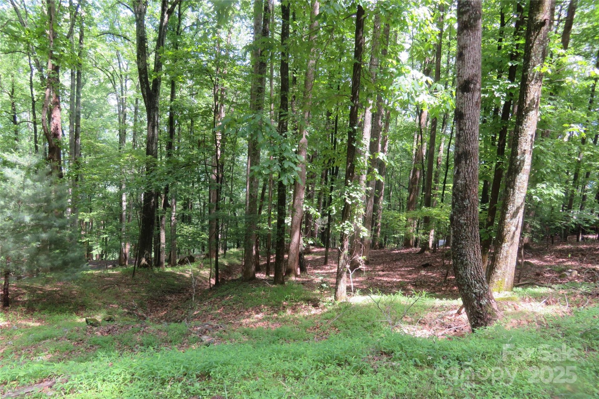 Property image 3 at Tbd Poplar Drive, Mills River, NC 28759