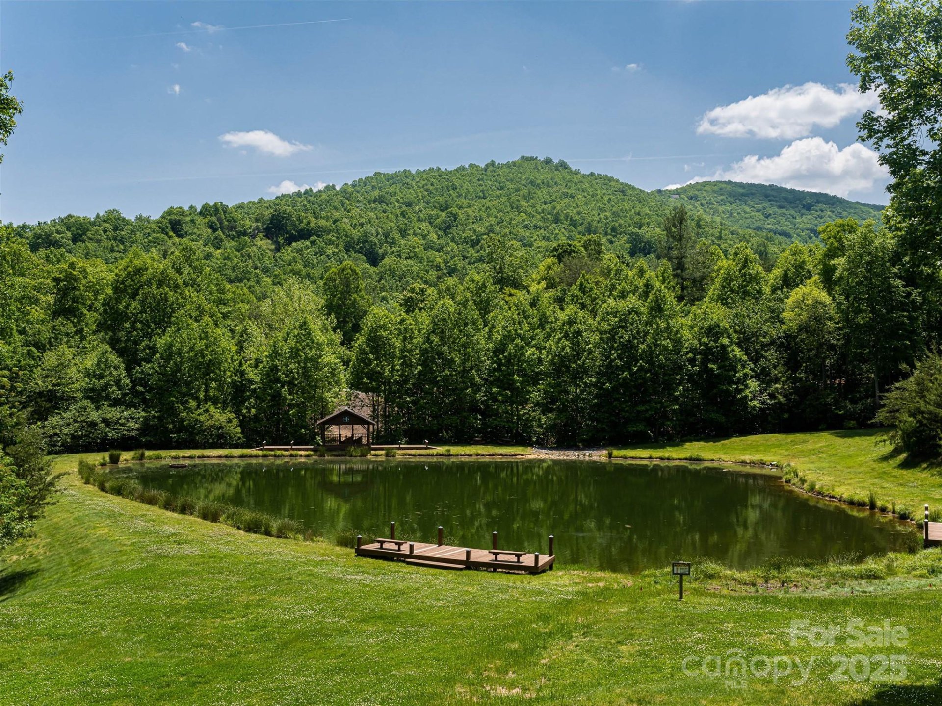 Property image 3 at 1157 Standing Deer Trace, Arden, NC 28704