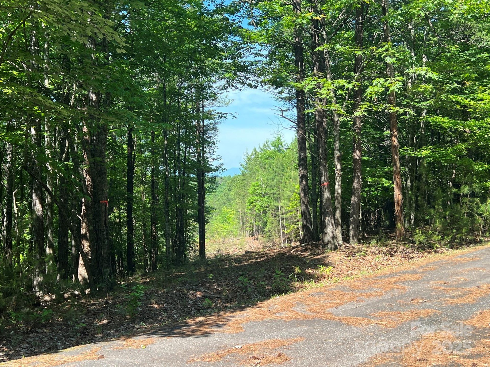 Property image 2 at 0 South Mountain Drive, Nebo, NC 28761