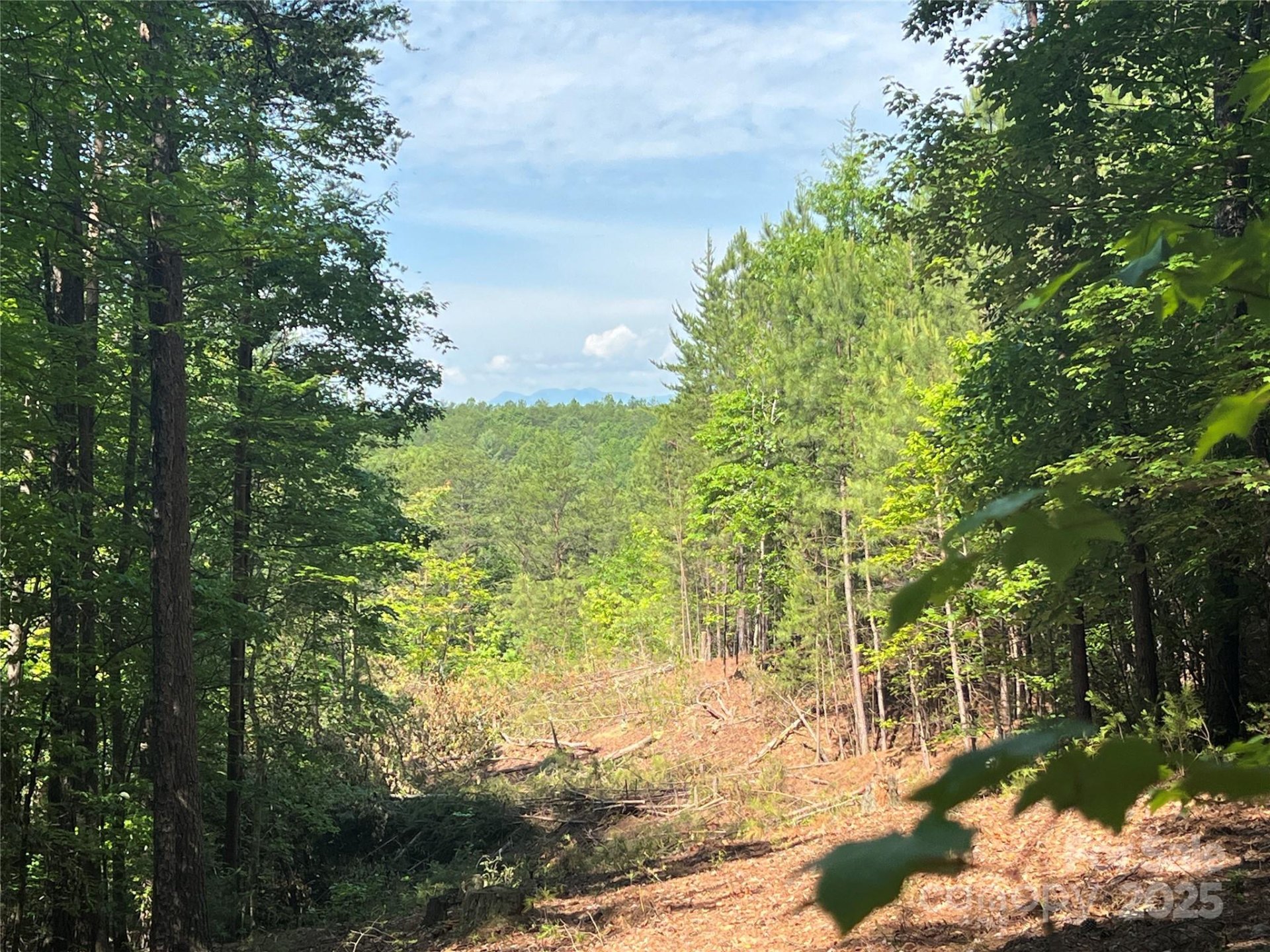 Property image 3 at 0 South Mountain Drive, Nebo, NC 28761