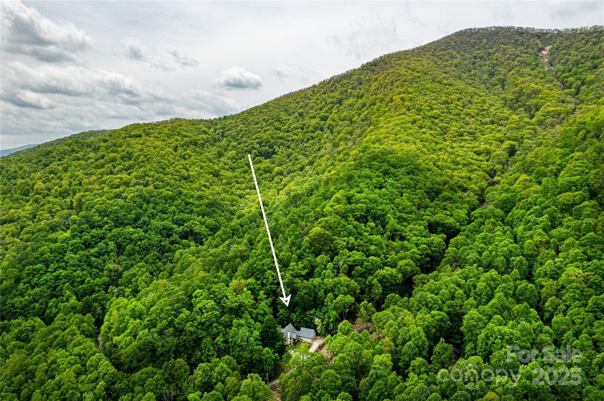 Property image 3 at 58 Great Aspen Way, Black Mountain, NC 28711