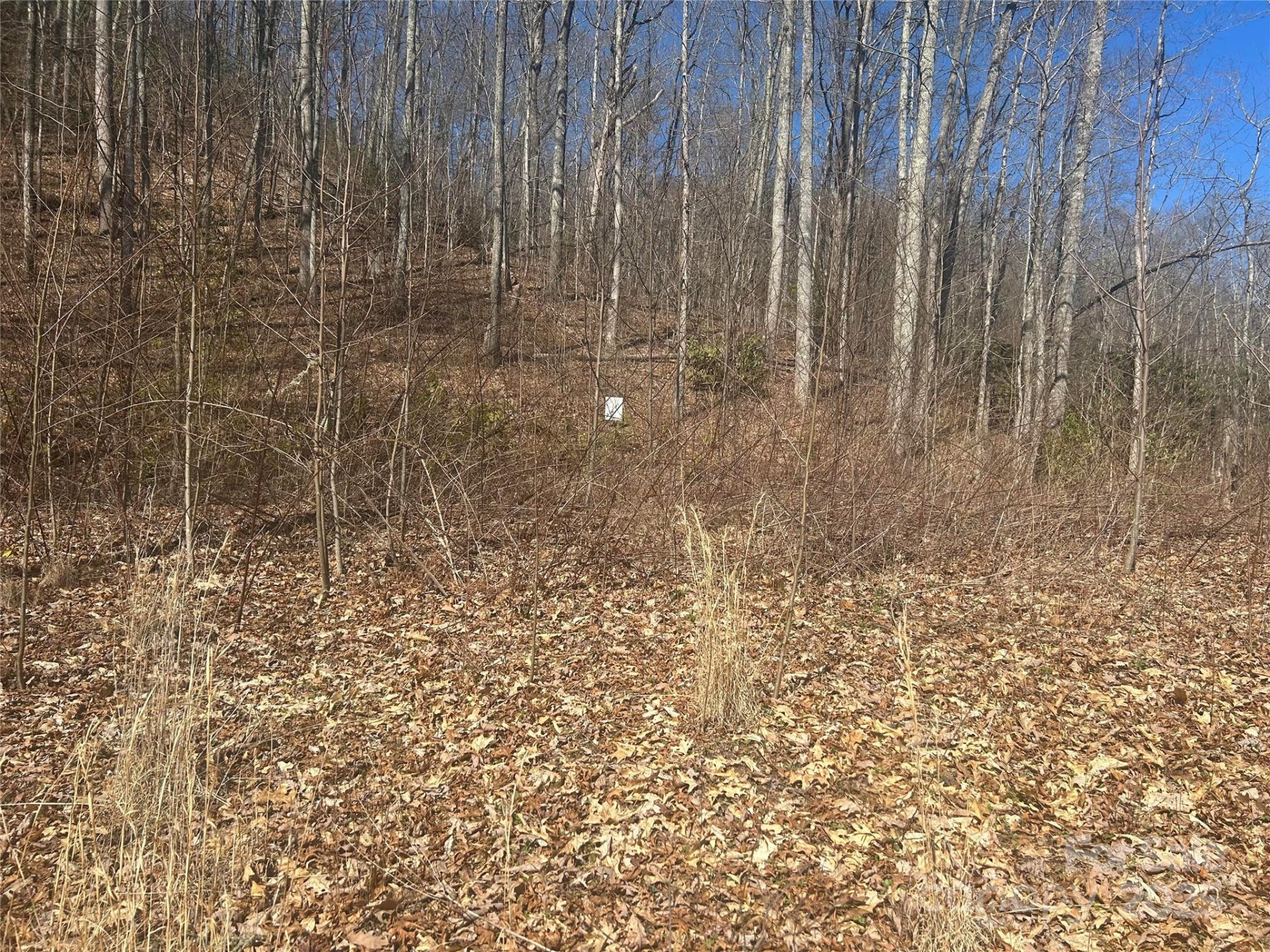 Property image 2 at 0 Towaliga Drive, Bryson City, NC 28713