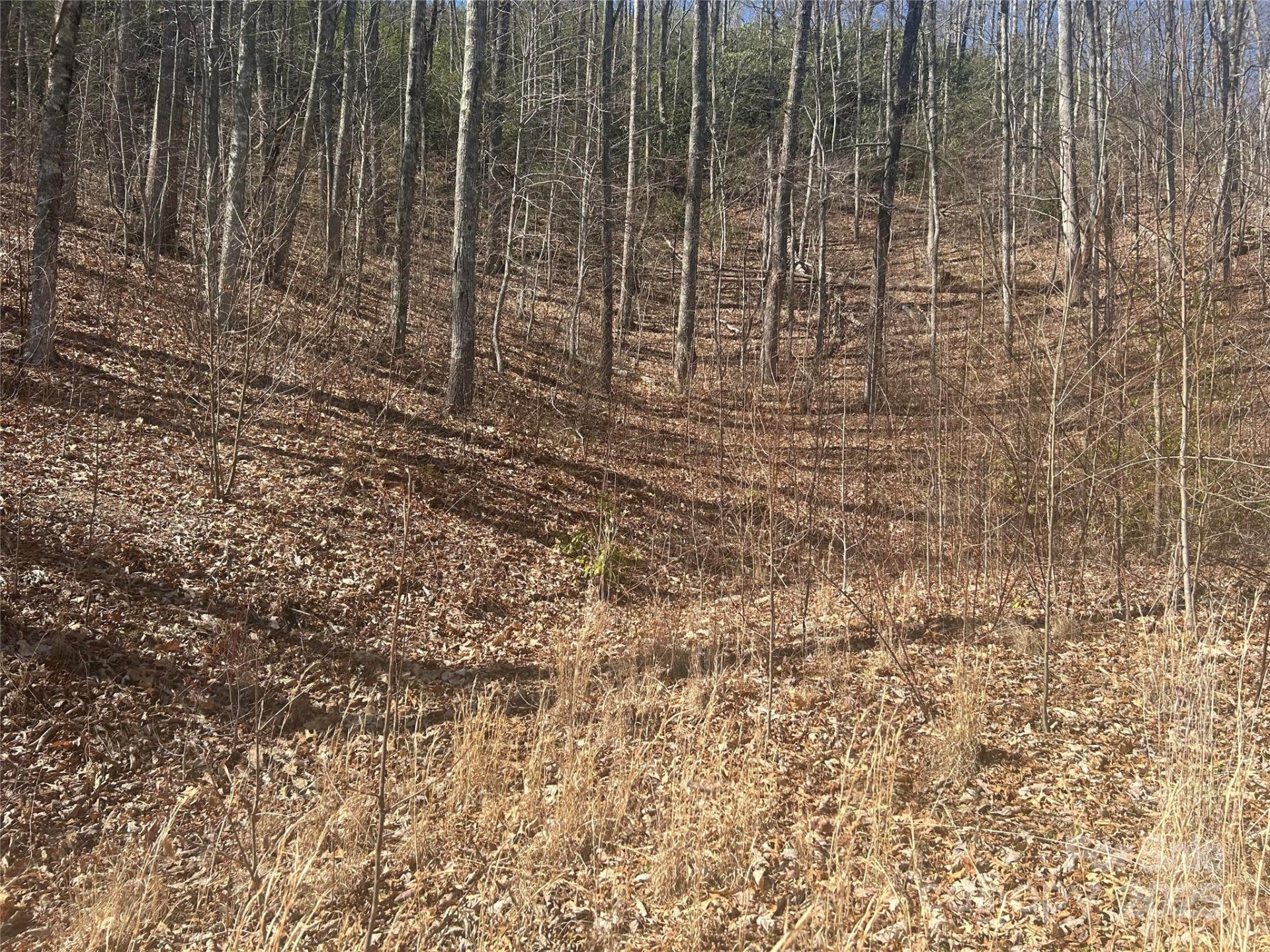 Property image 3 at 0 Towaliga Drive, Bryson City, NC 28713