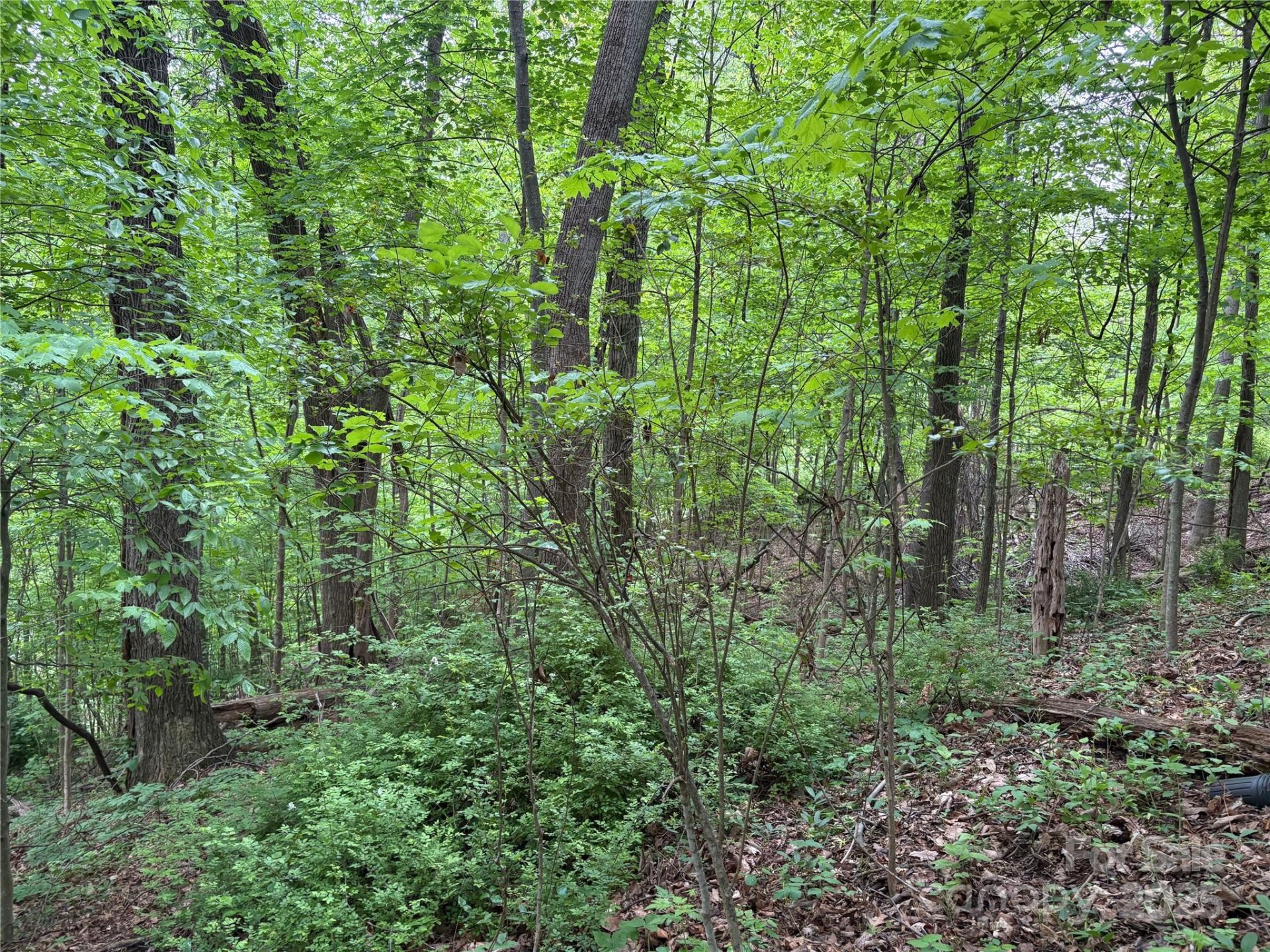 Property image 2 at Tbd Adams Street, Waynesville, NC 28786