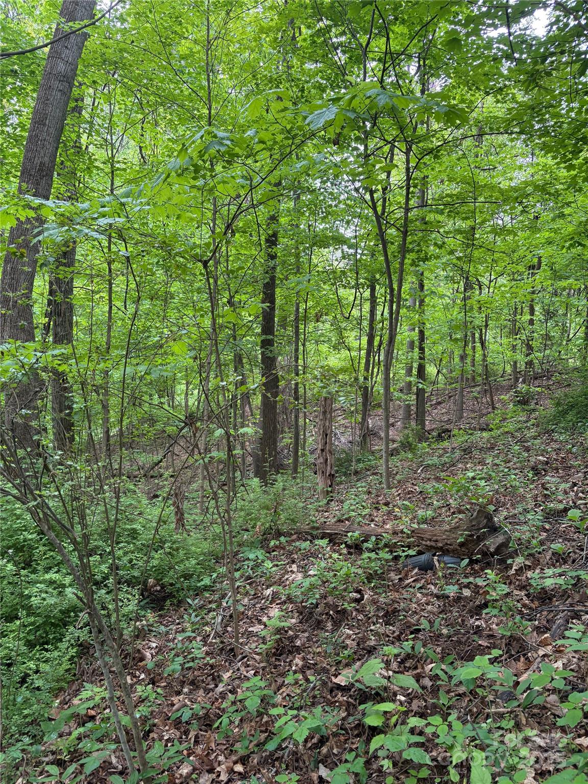 Property image 3 at Tbd Adams Street, Waynesville, NC 28786