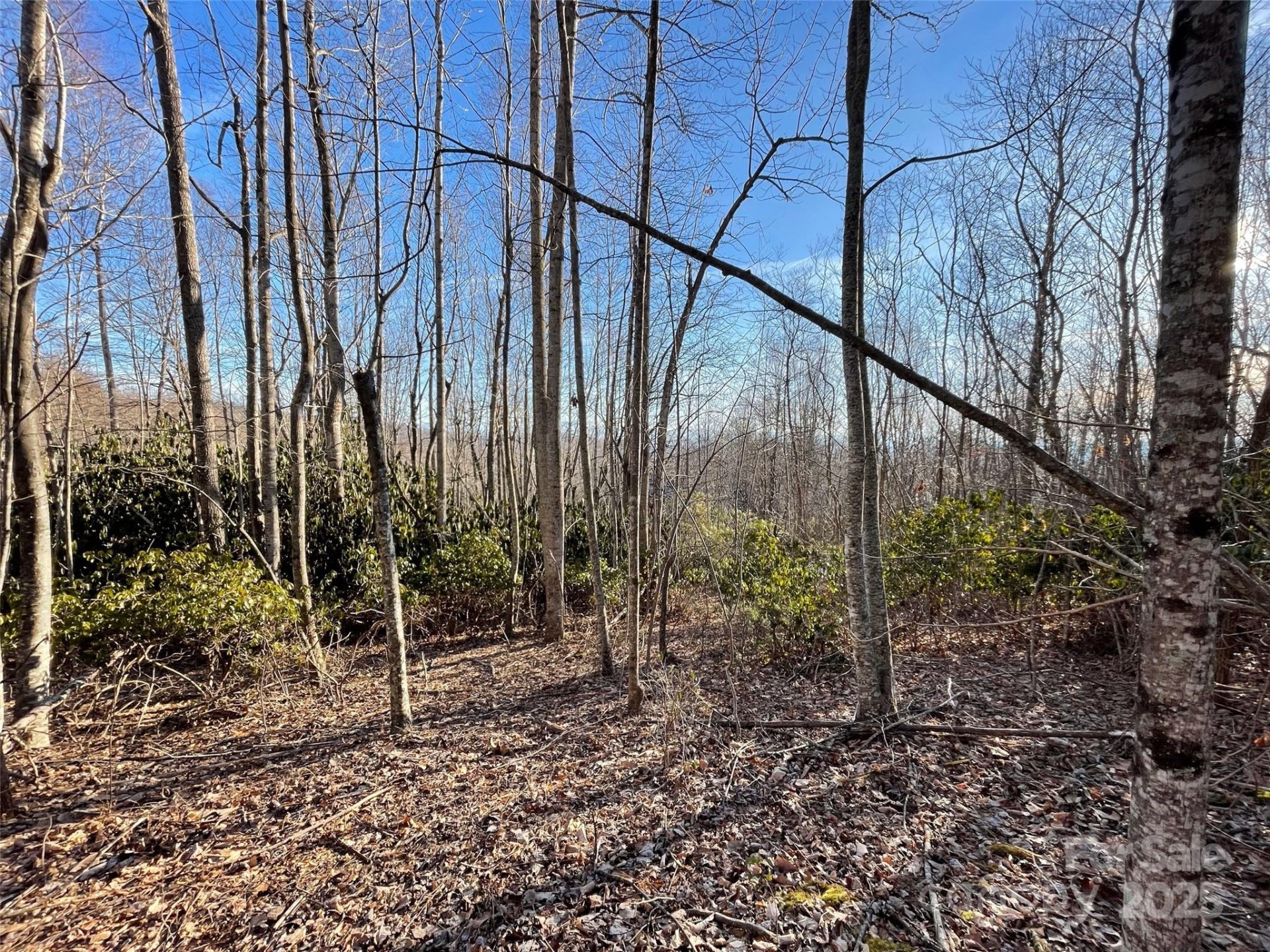 Property image 4 at 000 Hardwood Summit None, Hendersonville, NC 28739