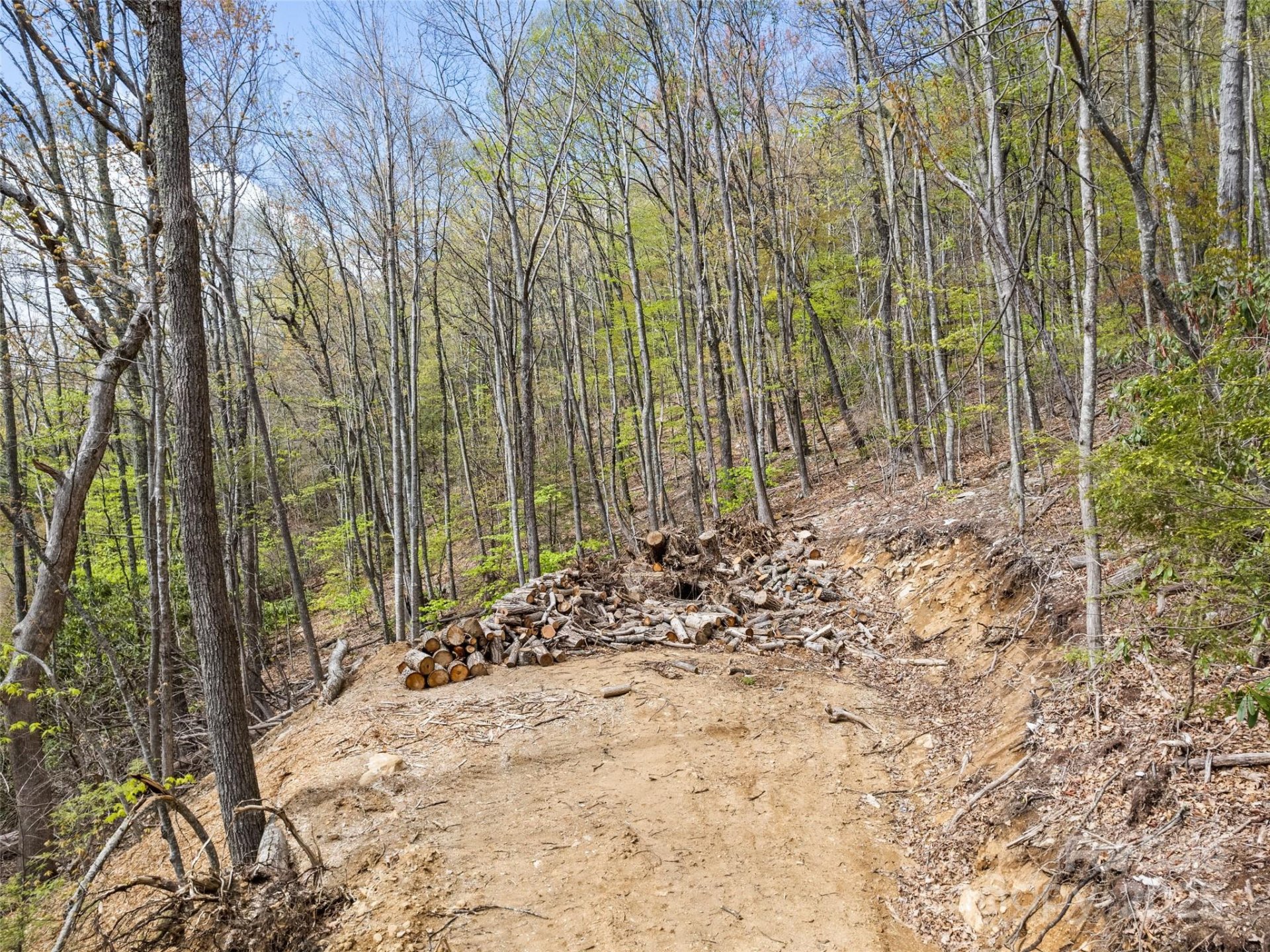 Property image 4 at Lot G 44 Odalu Trail, Maggie Valley, NC 28751