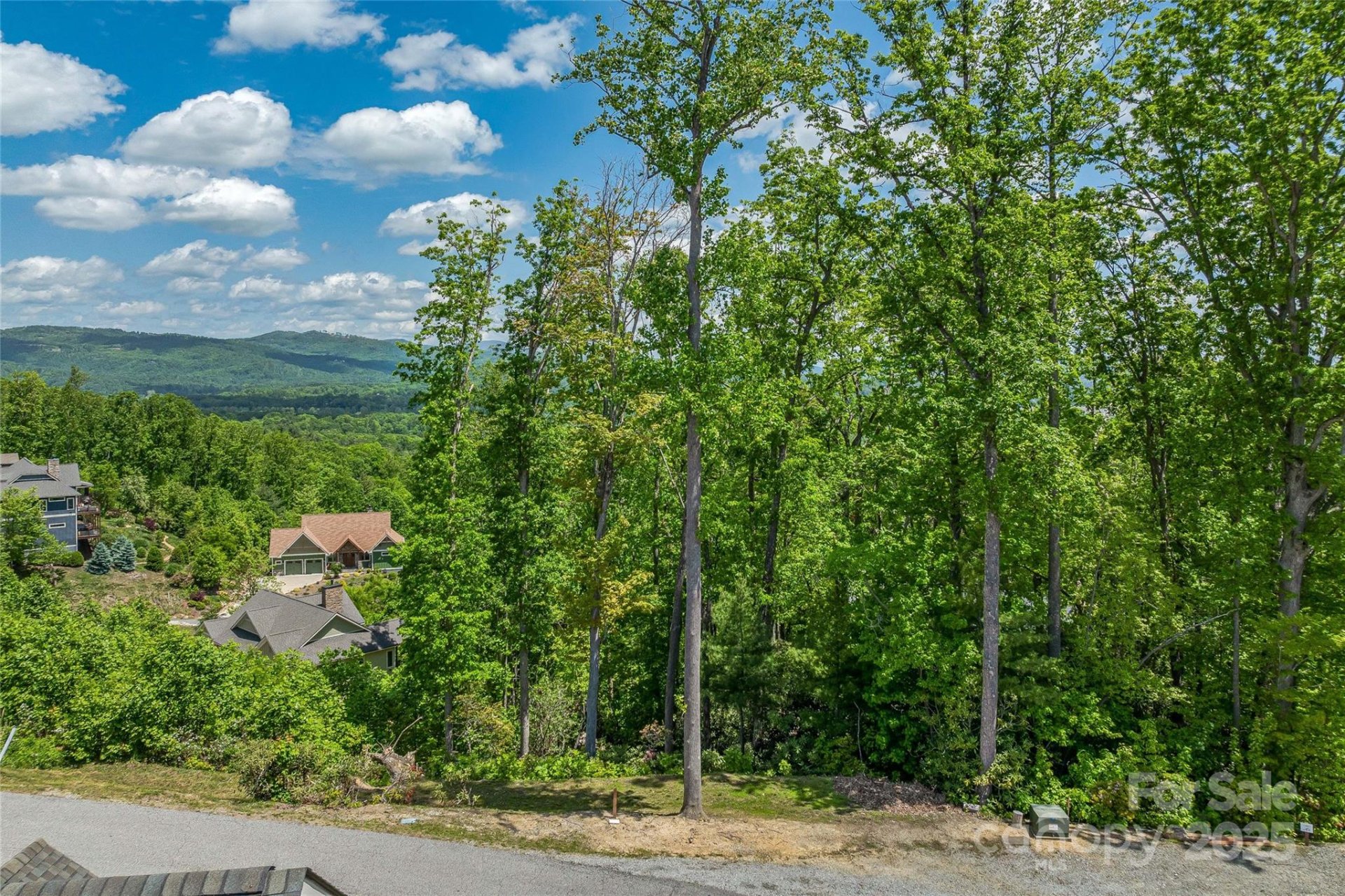 Property image 5 at 81 Curtain Bluff, Hendersonville, NC 28791