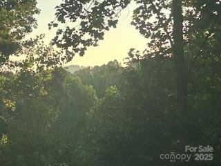 Property image 3 at 417 Blue Mist Way, Arden, NC 28704