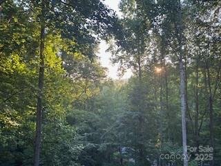 Property image 5 at 417 Blue Mist Way, Arden, NC 28704