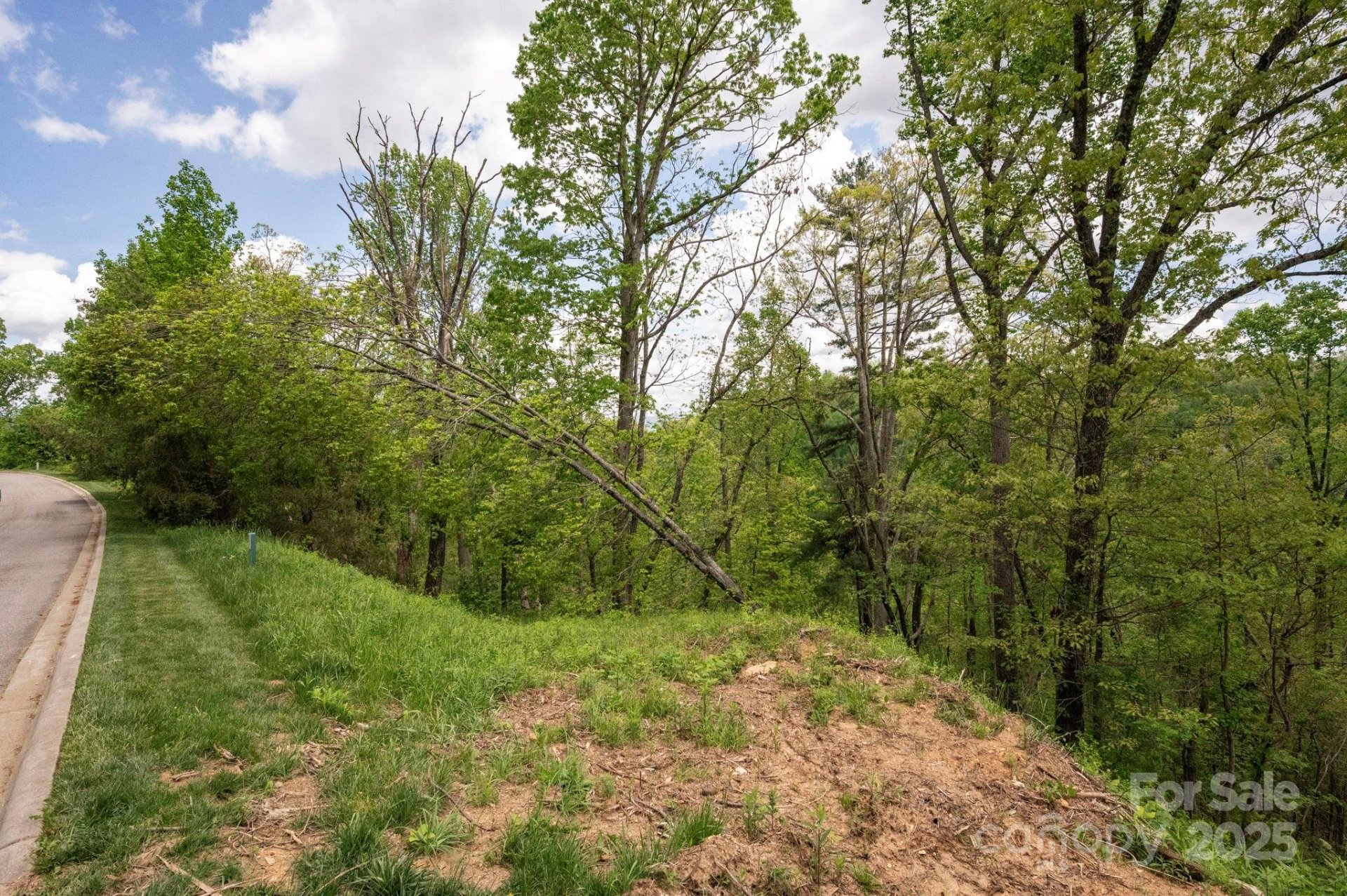 Property image 4 at 146 Summit Tower Circle, Asheville, NC 28804