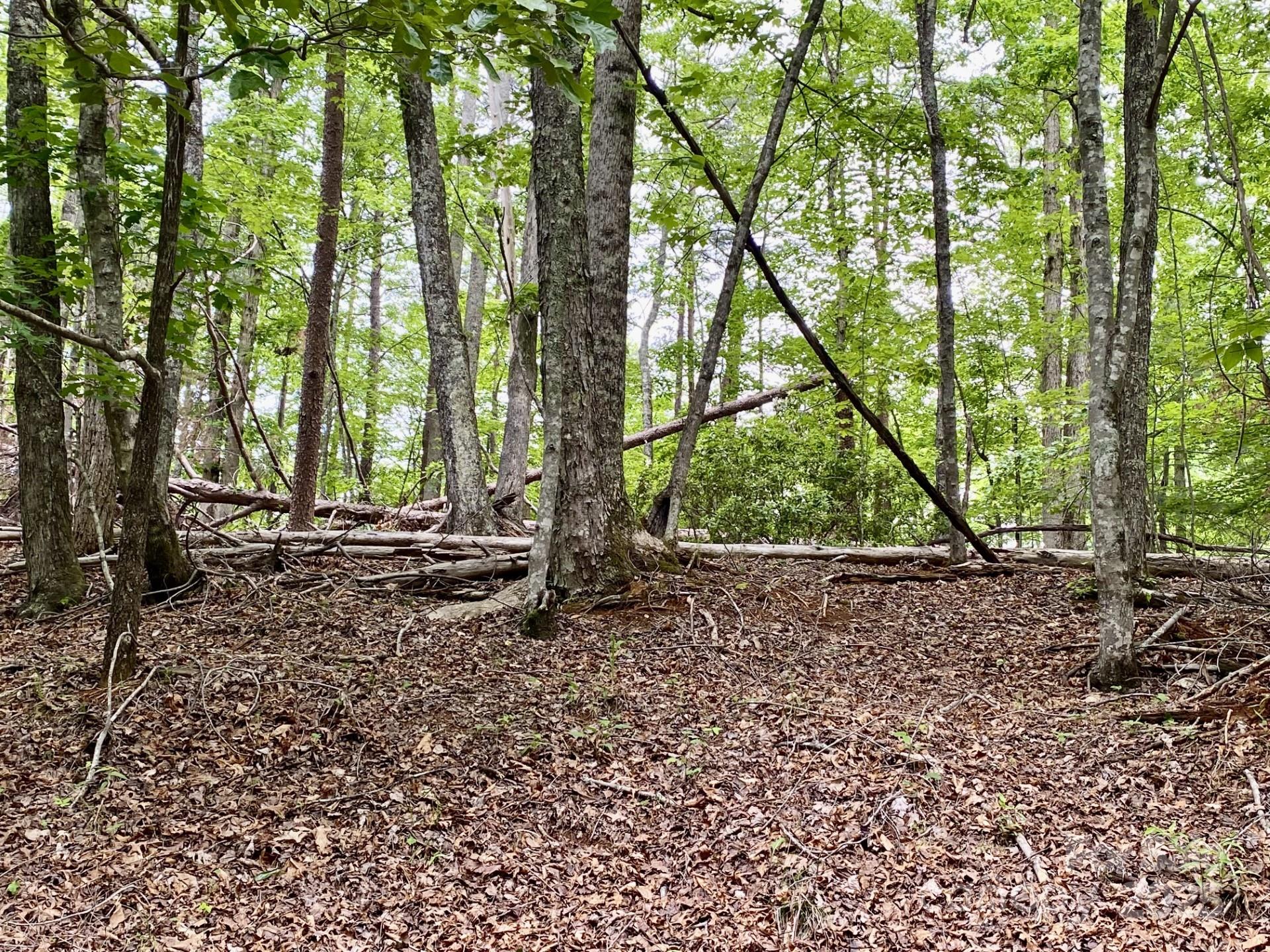 Property image 2 at 0 Granny Smith Lane, Lake Lure, NC 28746