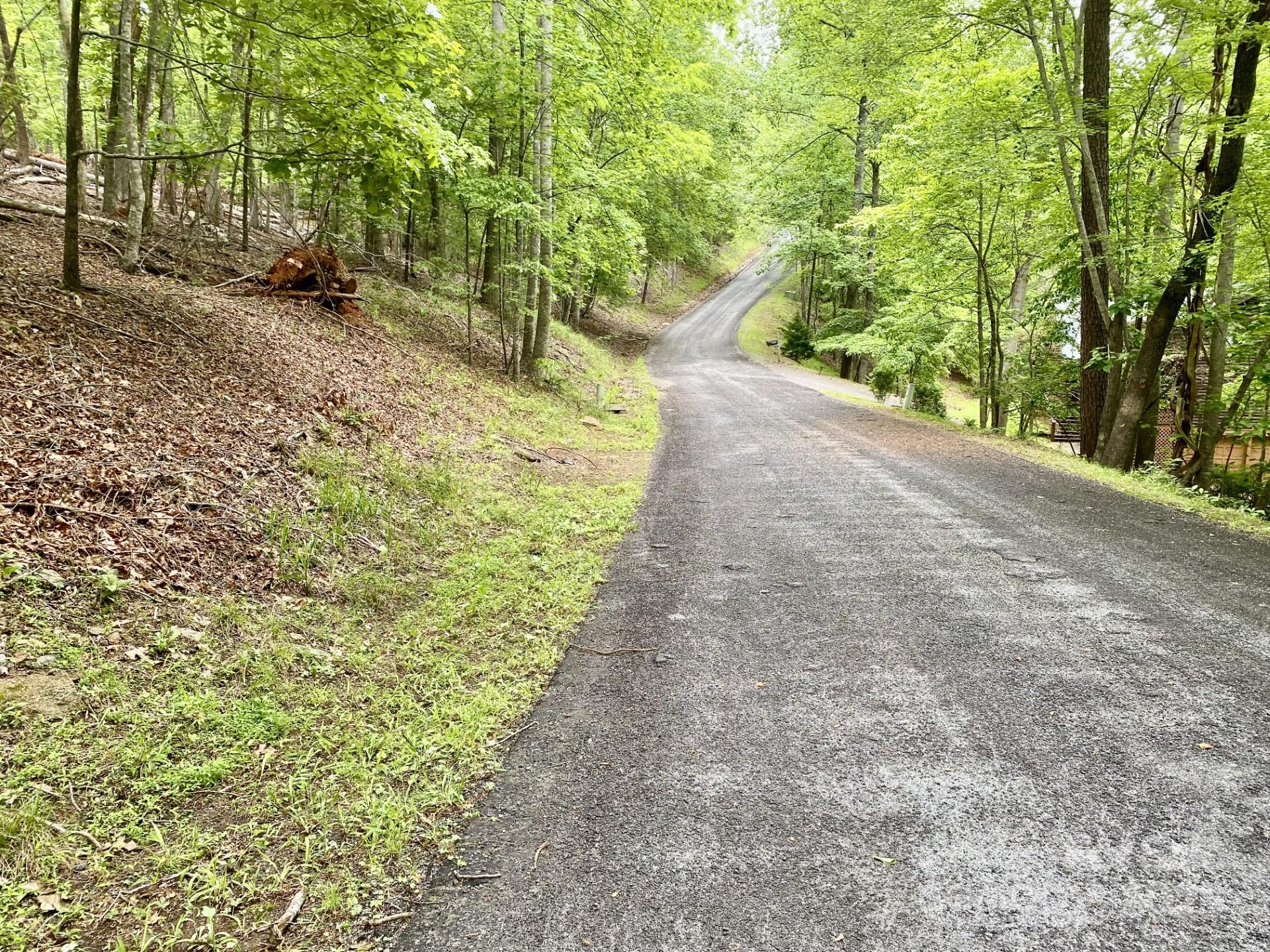 Property image 4 at 0 Granny Smith Lane, Lake Lure, NC 28746